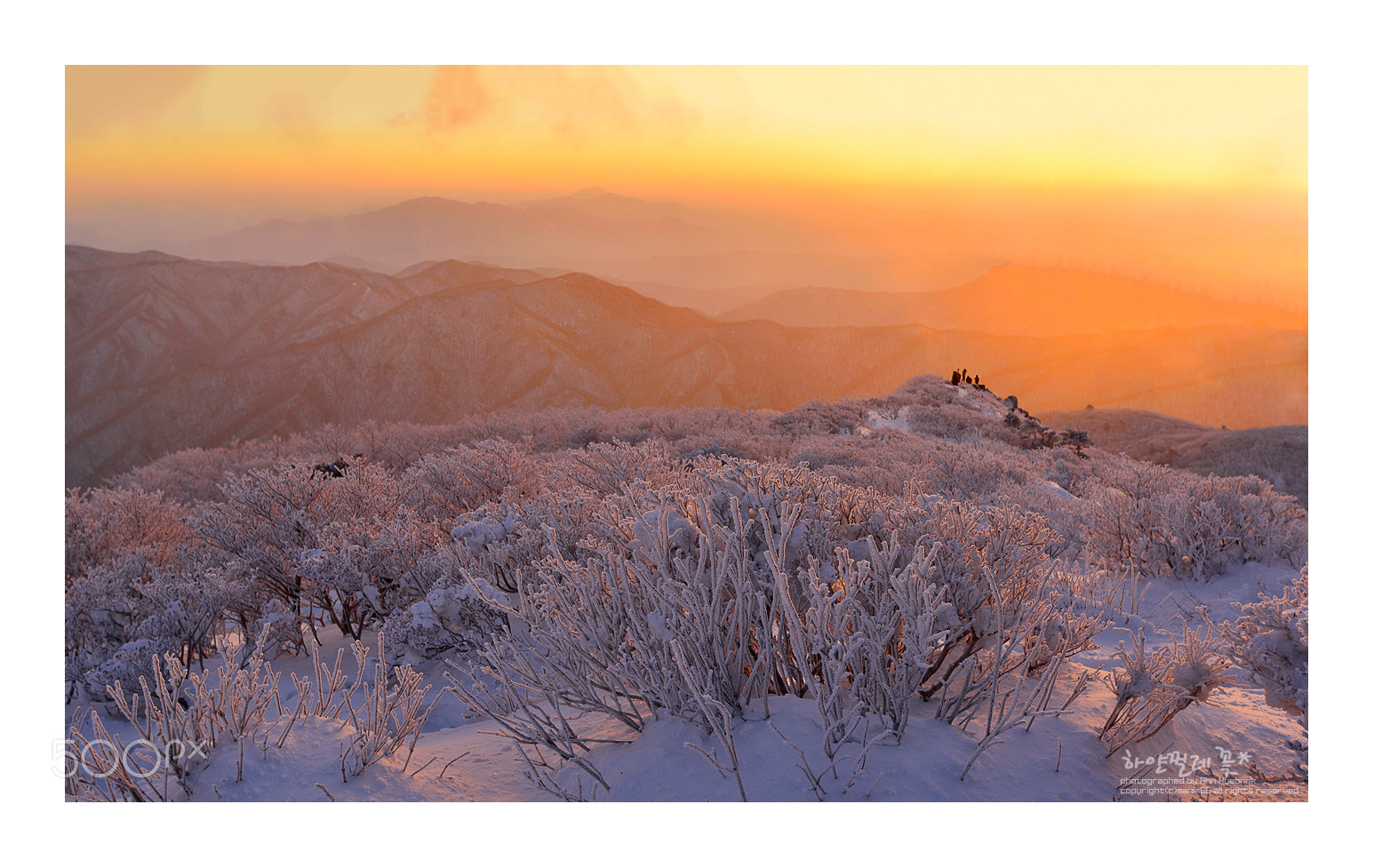Nikon D800 sample photo. Winter sunrise photography
