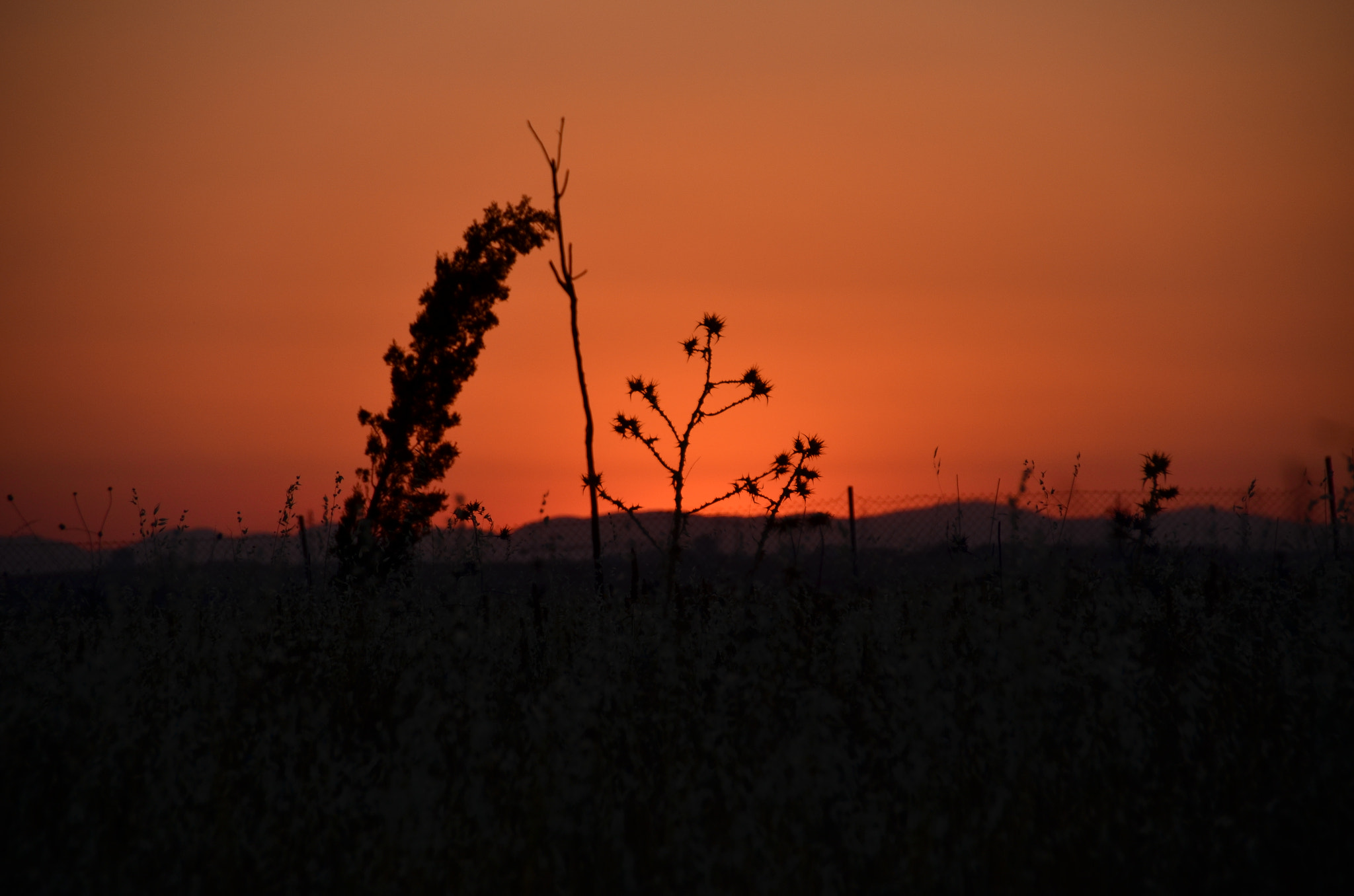 Sigma 18-200mm F3.5-6.3 II DC OS HSM sample photo. Red sunset photography