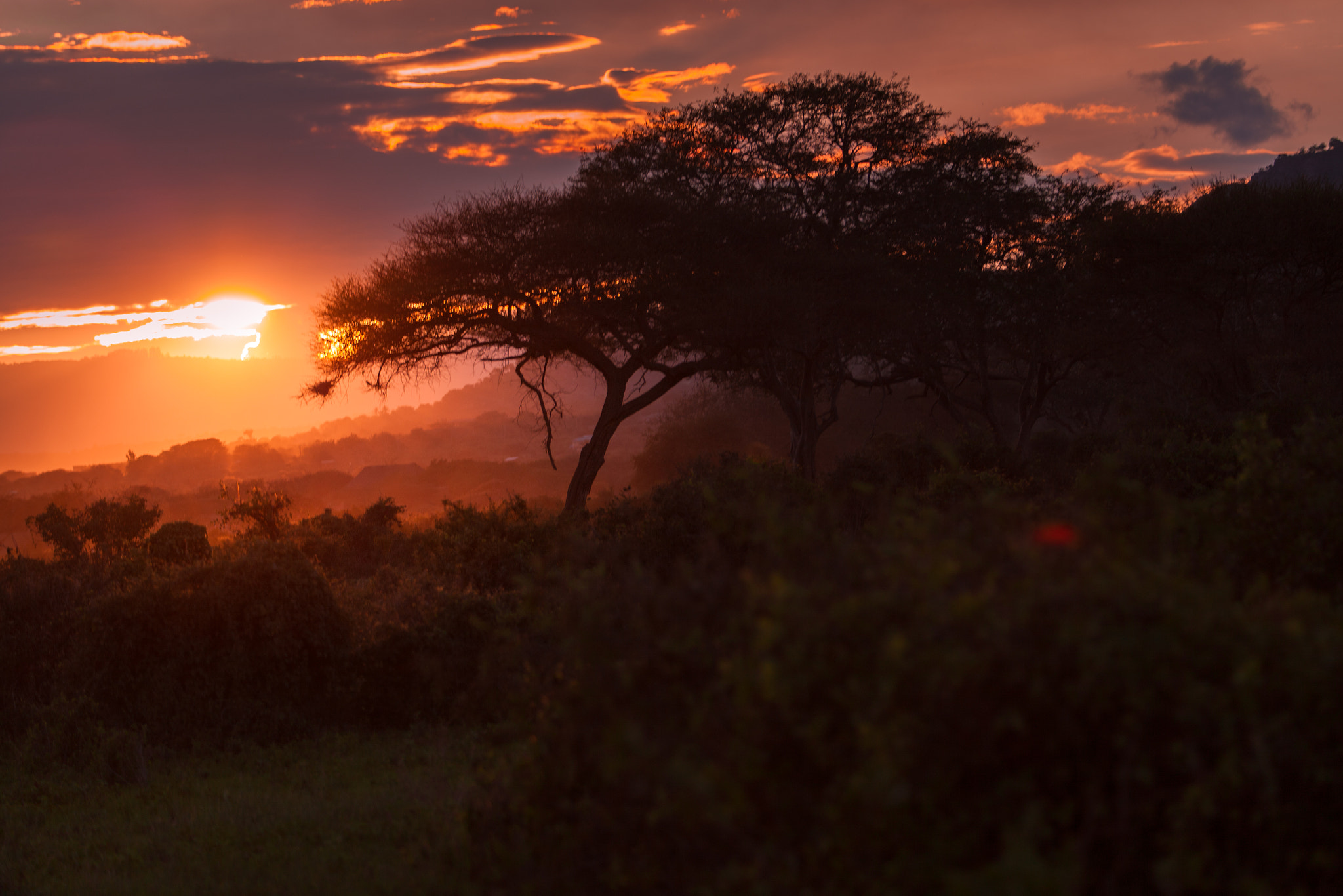 Canon EOS 5D Mark II + Canon EF 70-200mm F2.8L IS II USM sample photo. Kenia sunset tsavo ost photography