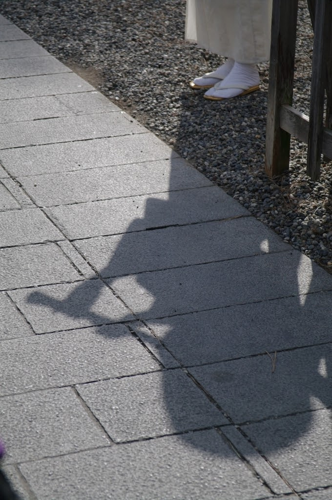 Pentax K-7 + Pentax smc DA 17-70mm F4.0 AL (IF) SDM sample photo. Shadow performer photography