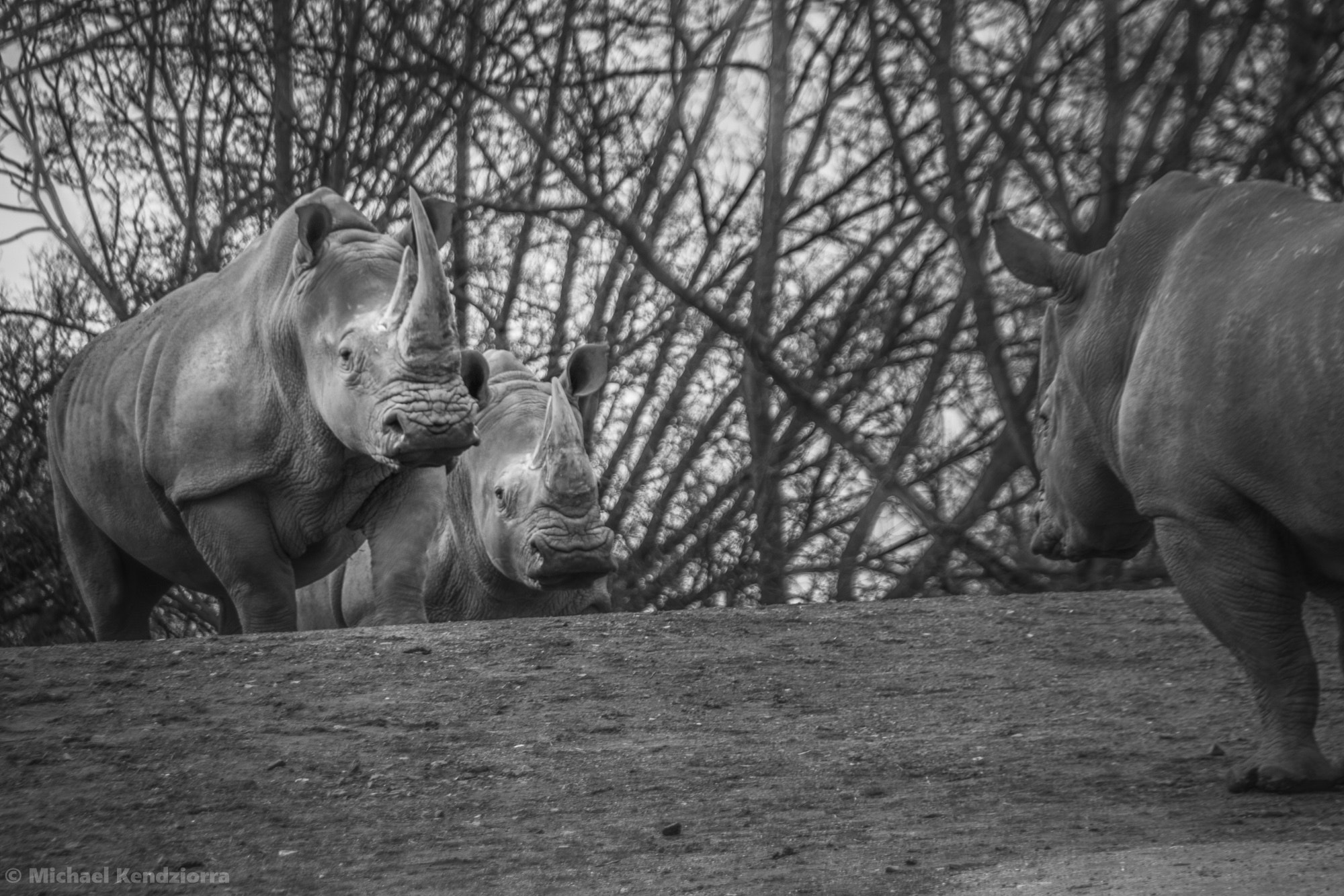 Sigma 18-250mm F3.5-6.3 DC OS HSM sample photo. The boss photography
