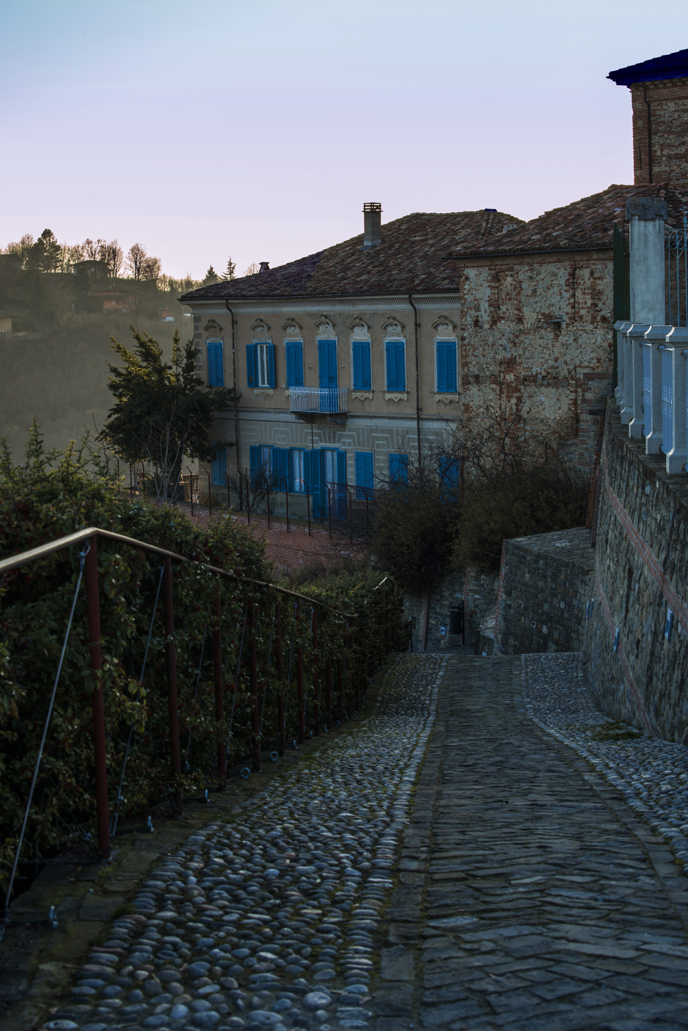 Nikon D800 sample photo. The house with blue shutters photography