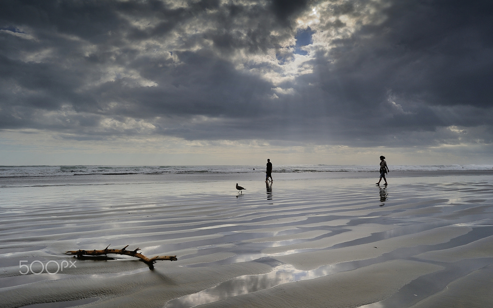 Nikon D700 + Nikon AF-S Nikkor 17-35mm F2.8D ED-IF sample photo. Walking on the muriwai beach photography