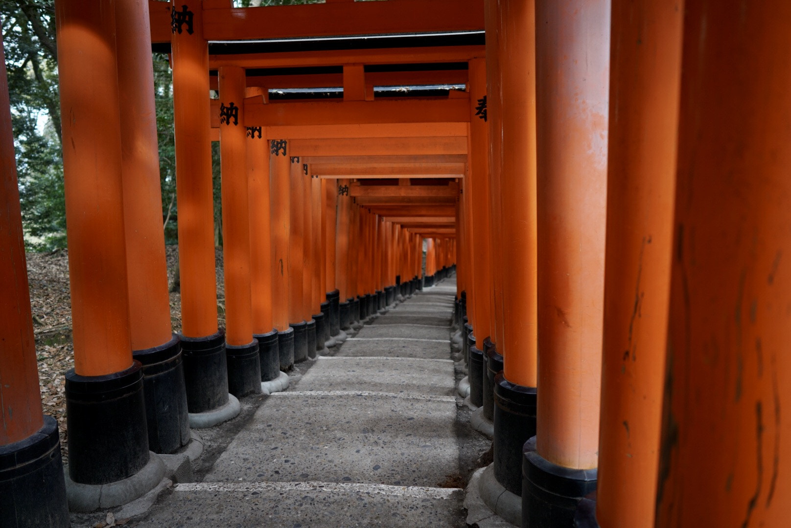 Sony a7R II + ZEISS Batis 25mm F2 sample photo. Torii gates at the fushimi inari shrine in kyoto, japan photography