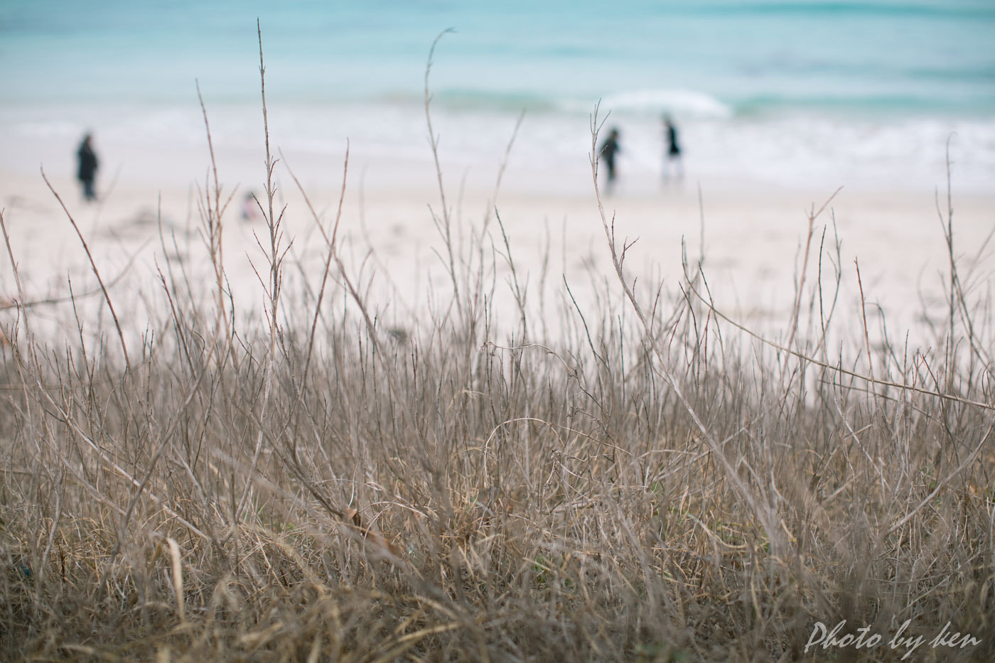 Canon EF 50mm F1.2L USM sample photo. Tsunoshima photography
