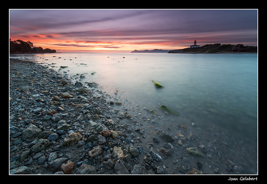 Nikon AF Nikkor 14mm F2.8D ED sample photo. 2017-03-05_08.10.54 photography