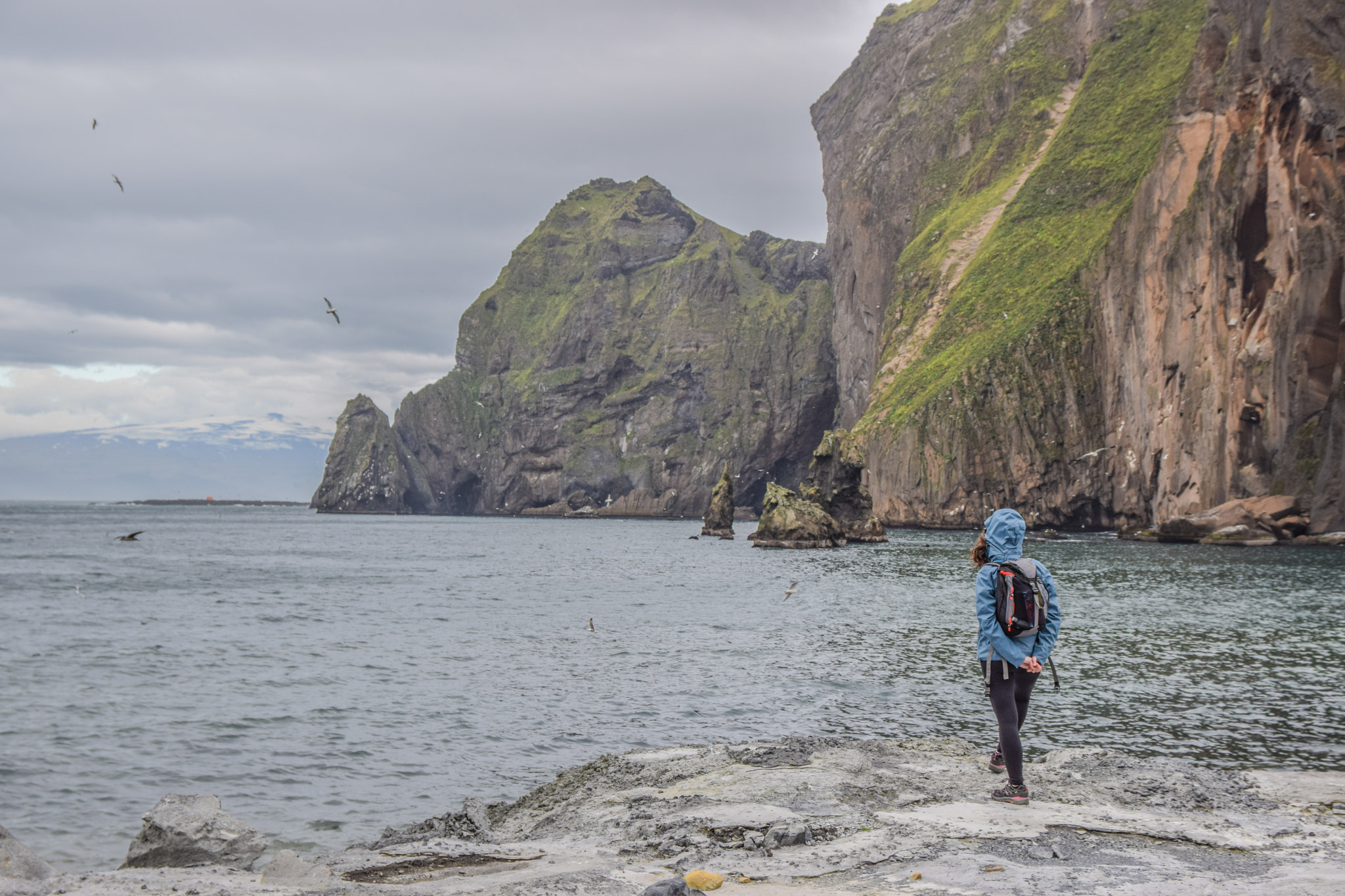 Nikon D5300 + Sigma 17-70mm F2.8-4 DC Macro OS HSM | C sample photo. Vestmannaeyjar view photography