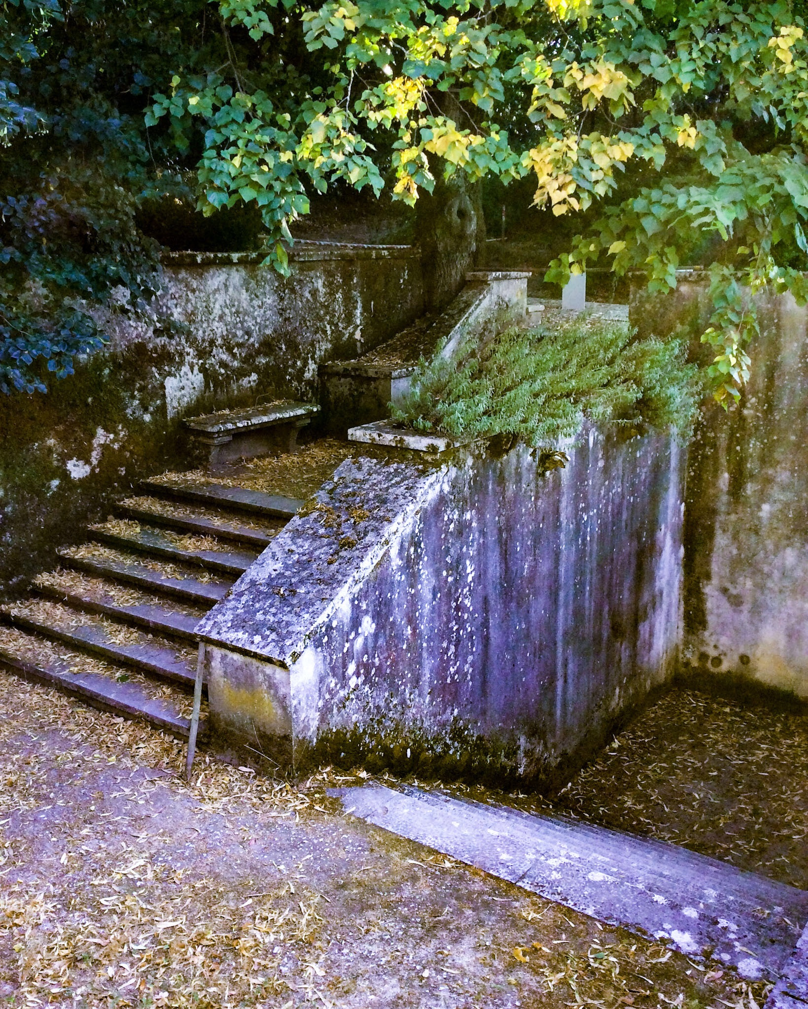 iPad mini 2 back camera 3.3mm f/2.4 sample photo. Coimbra park staircase, portugal. photography