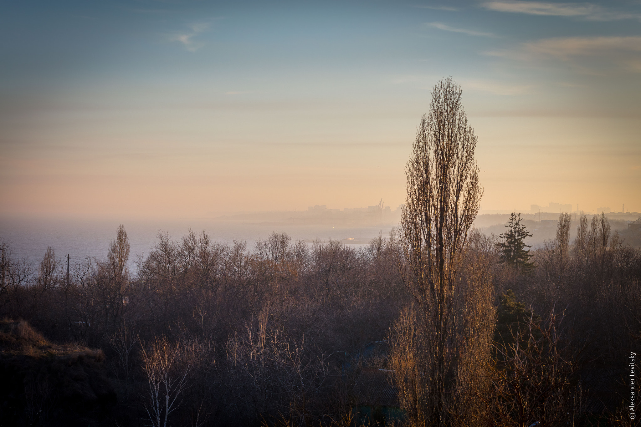 Canon EF 100mm F2.8L Macro IS USM sample photo. Sea port through trees at sunset photography