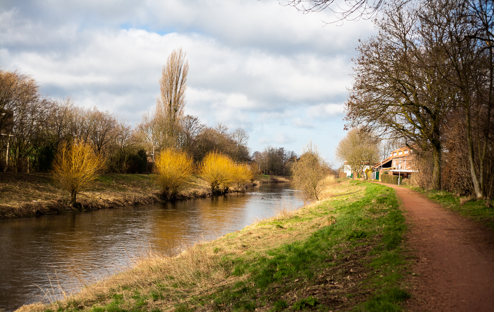 Canon EOS 5D + Canon EF 50mm F1.8 STM sample photo. River trees and more photography