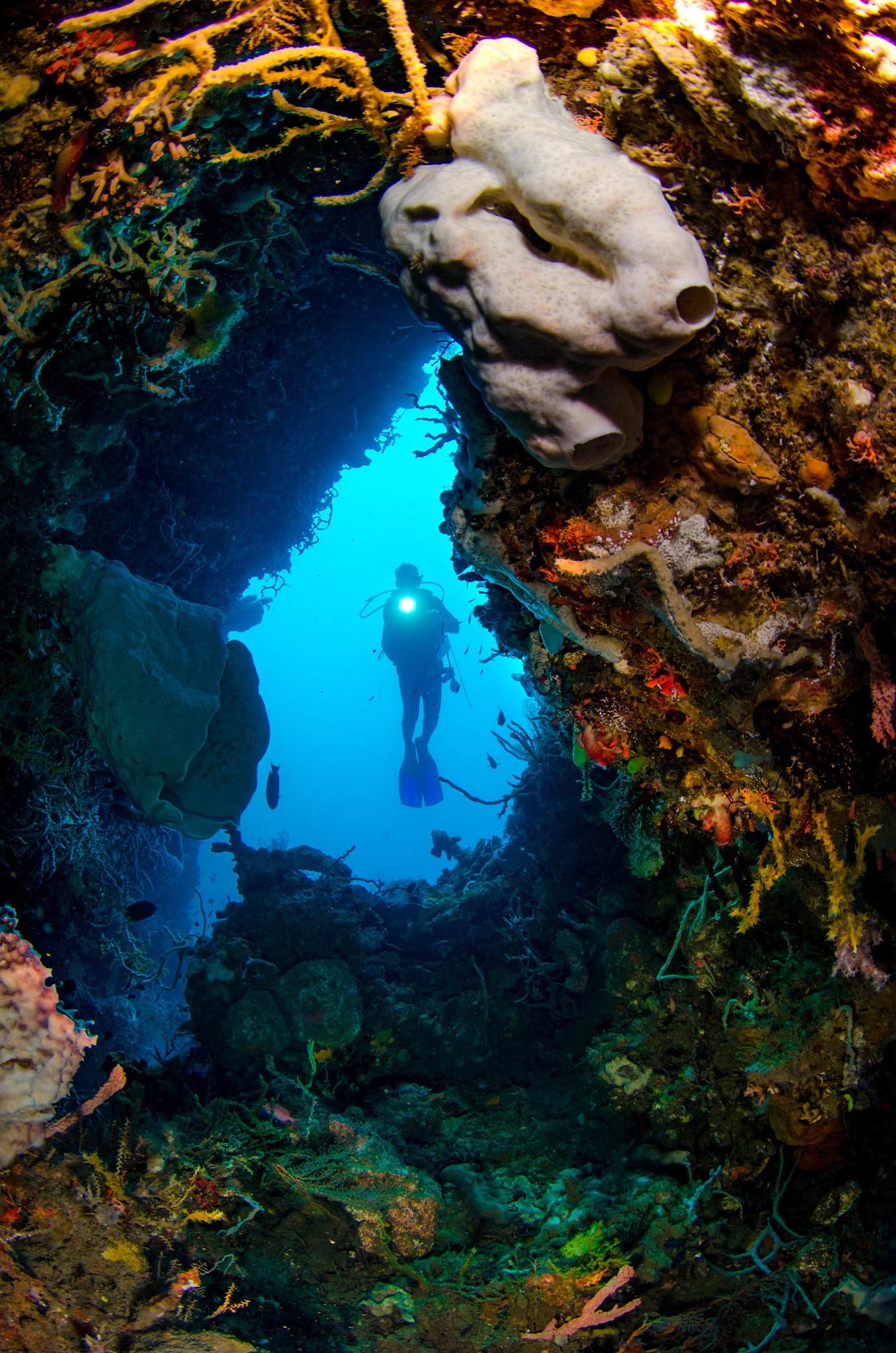 Tokina AT-X 10-17mm F3.5-4.5 DX Fisheye sample photo. Corals of gorontalo #indonesia #gorontalo photography
