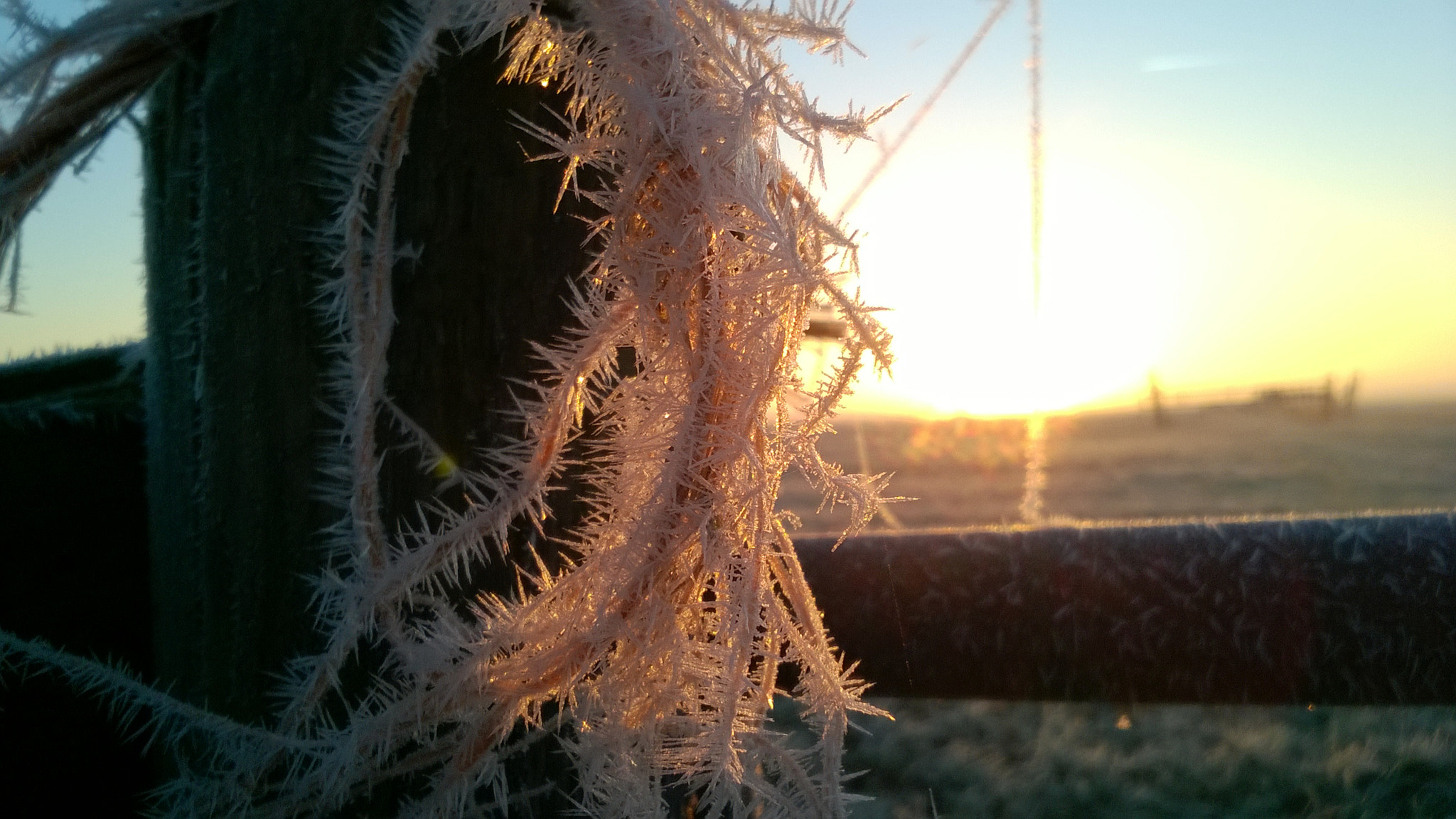 Nokia Lumia 735 sample photo. Frost on a rope on a january morning. photography
