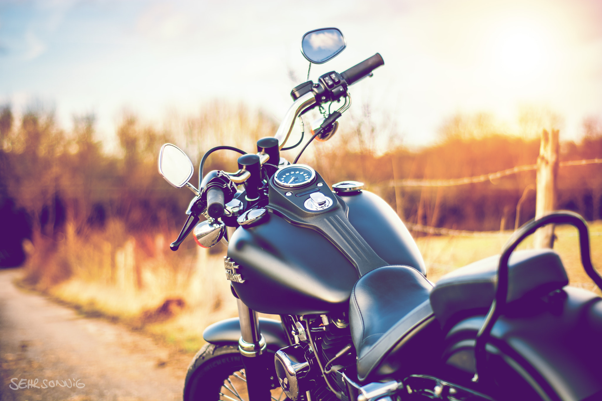 AF Nikkor 50mm f/1.8 sample photo. Harley davidson street bob photography