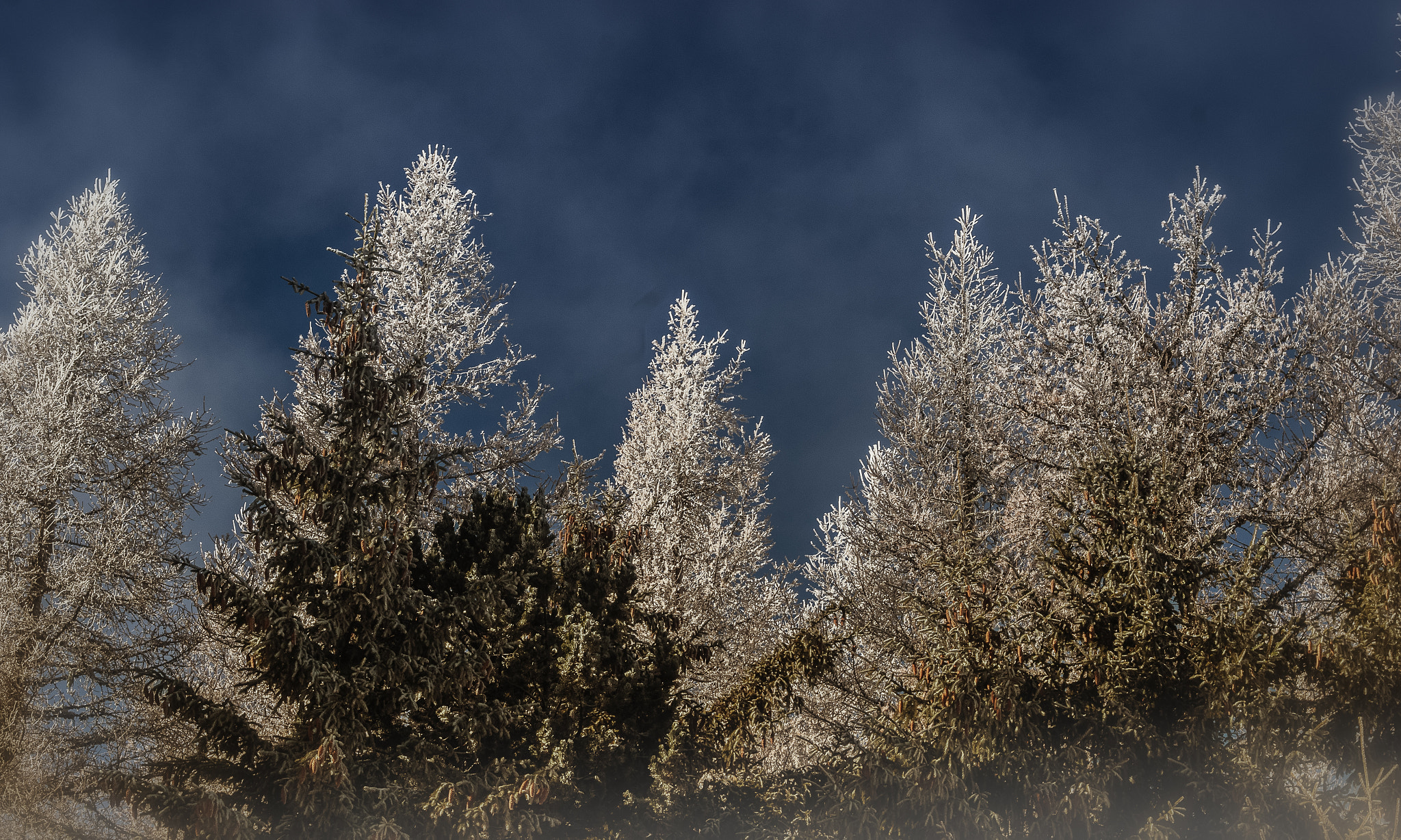 Canon EF 50mm F1.8 II sample photo. Scène d'hiver - winter scene . photography
