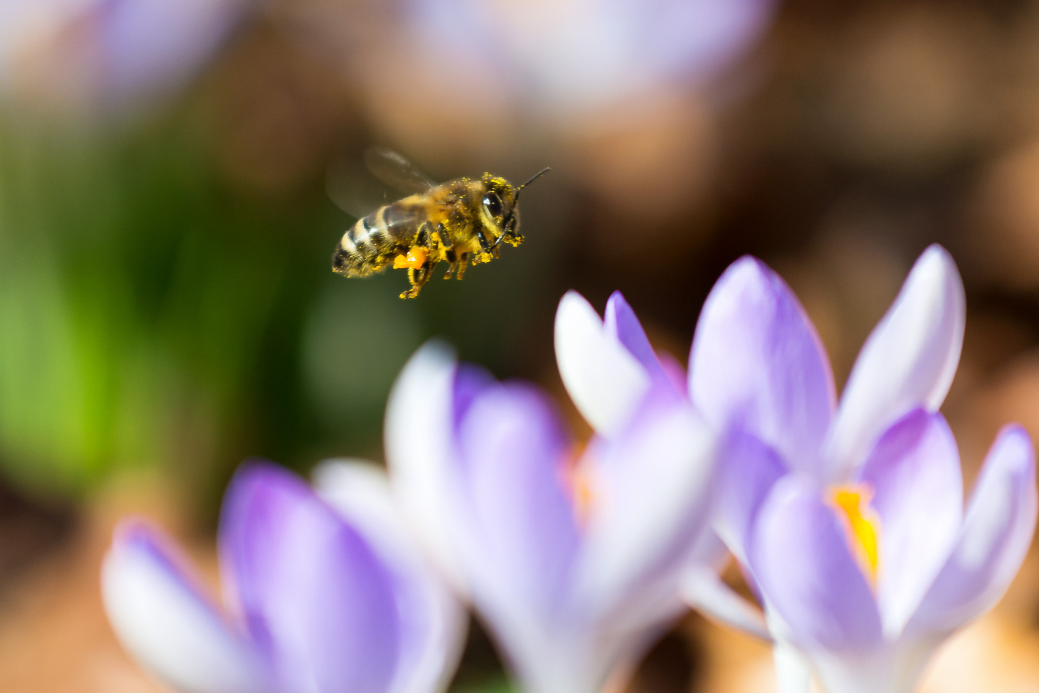 Nikon AF-S Nikkor 70-200mm F4G ED VR sample photo