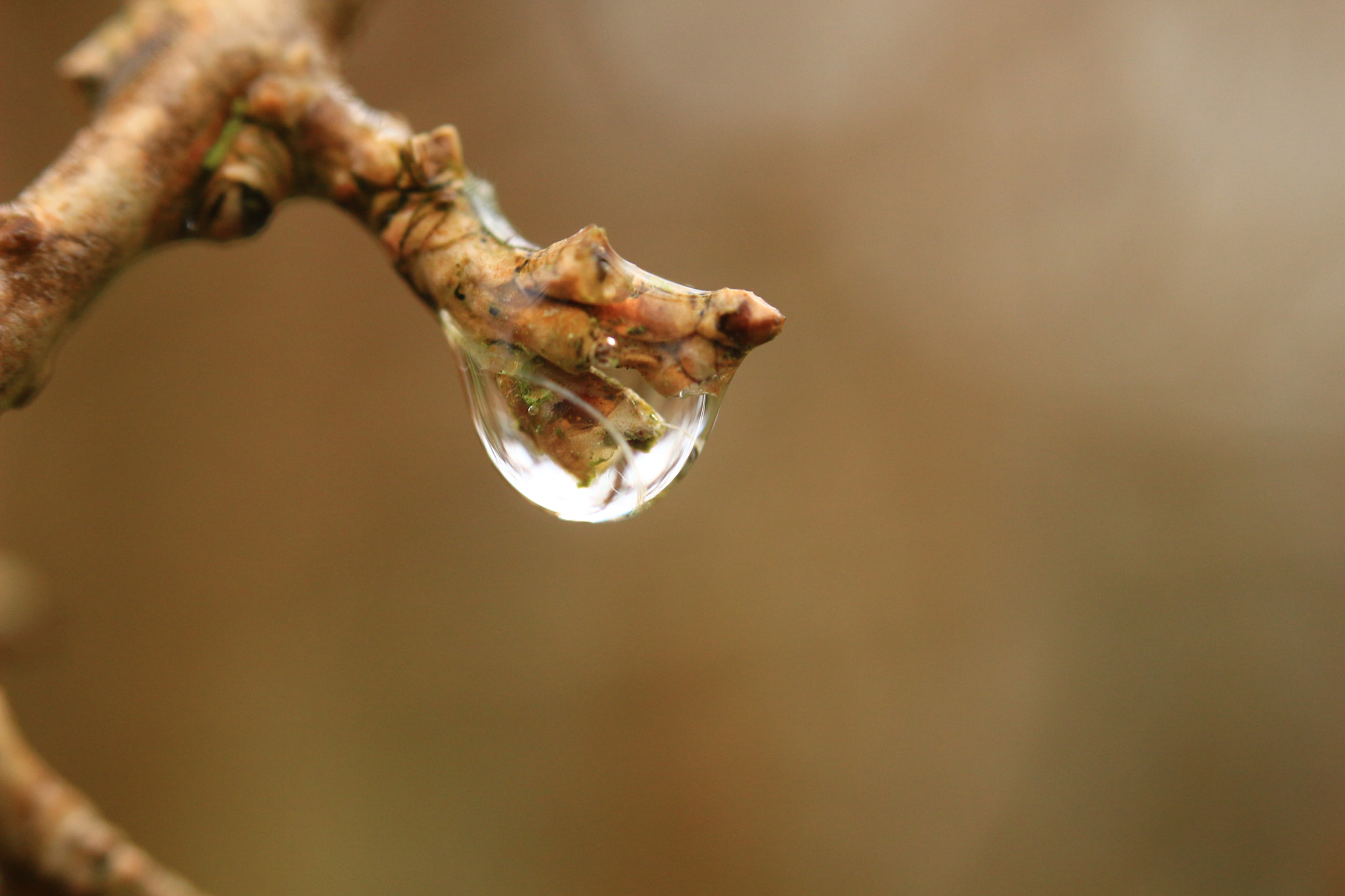 Canon EF 35-80mm f/4-5.6 sample photo. Img photography