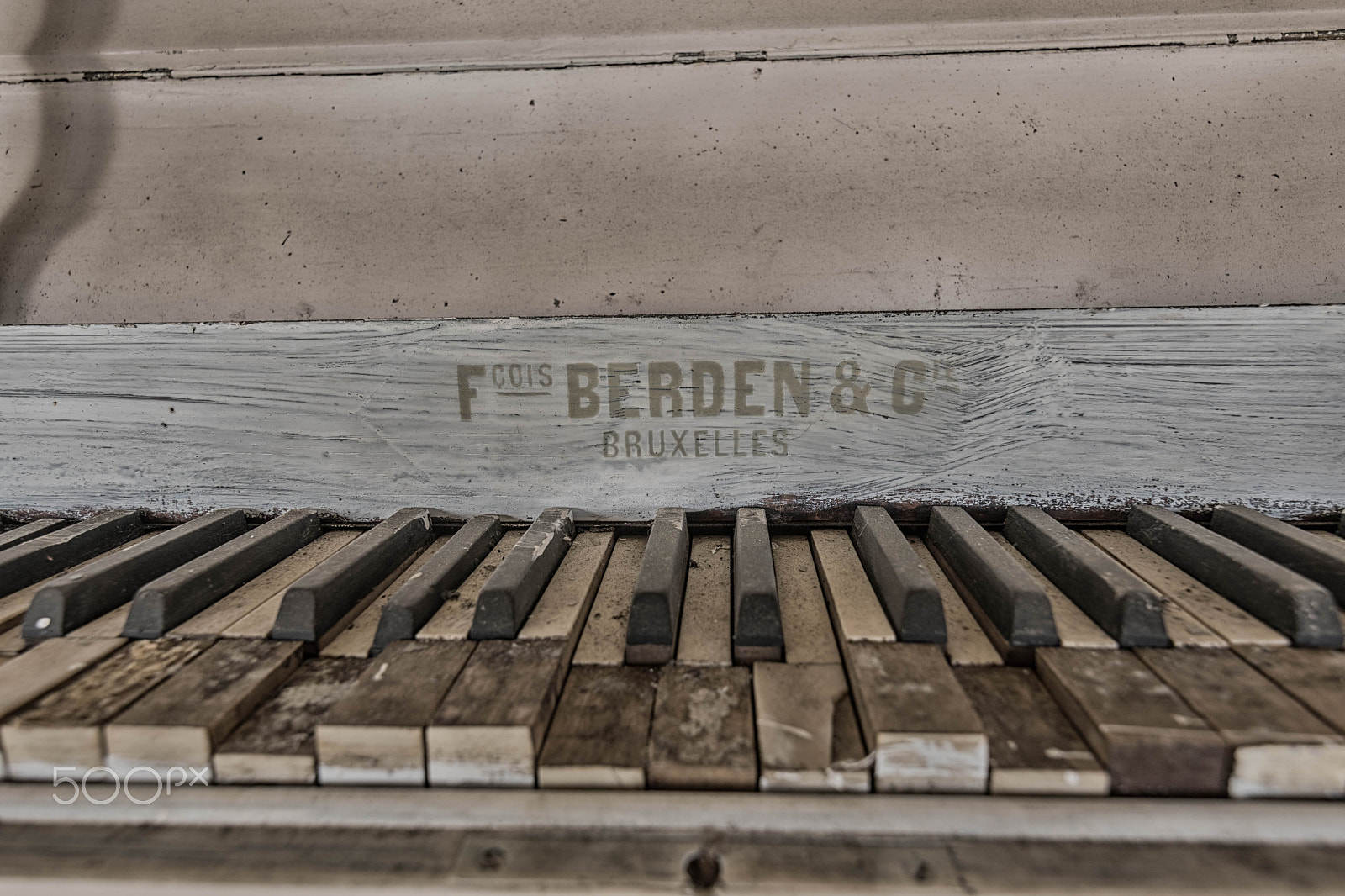 Nikon D500 sample photo. Berden photography