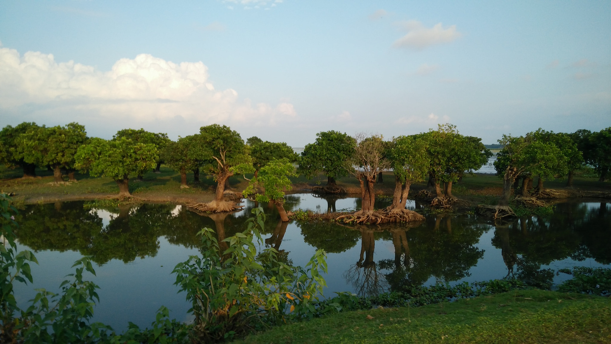 OnePlus ONE E1003 sample photo