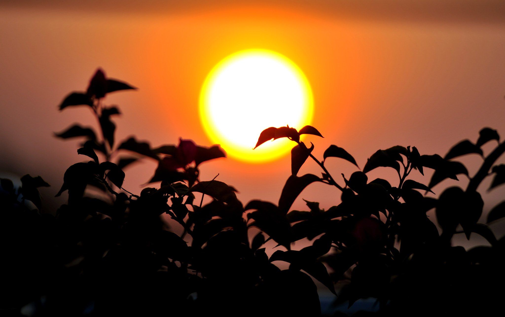 Nikon AF-Nikkor 80-200mm F2.8D ED sample photo. Sunset photography