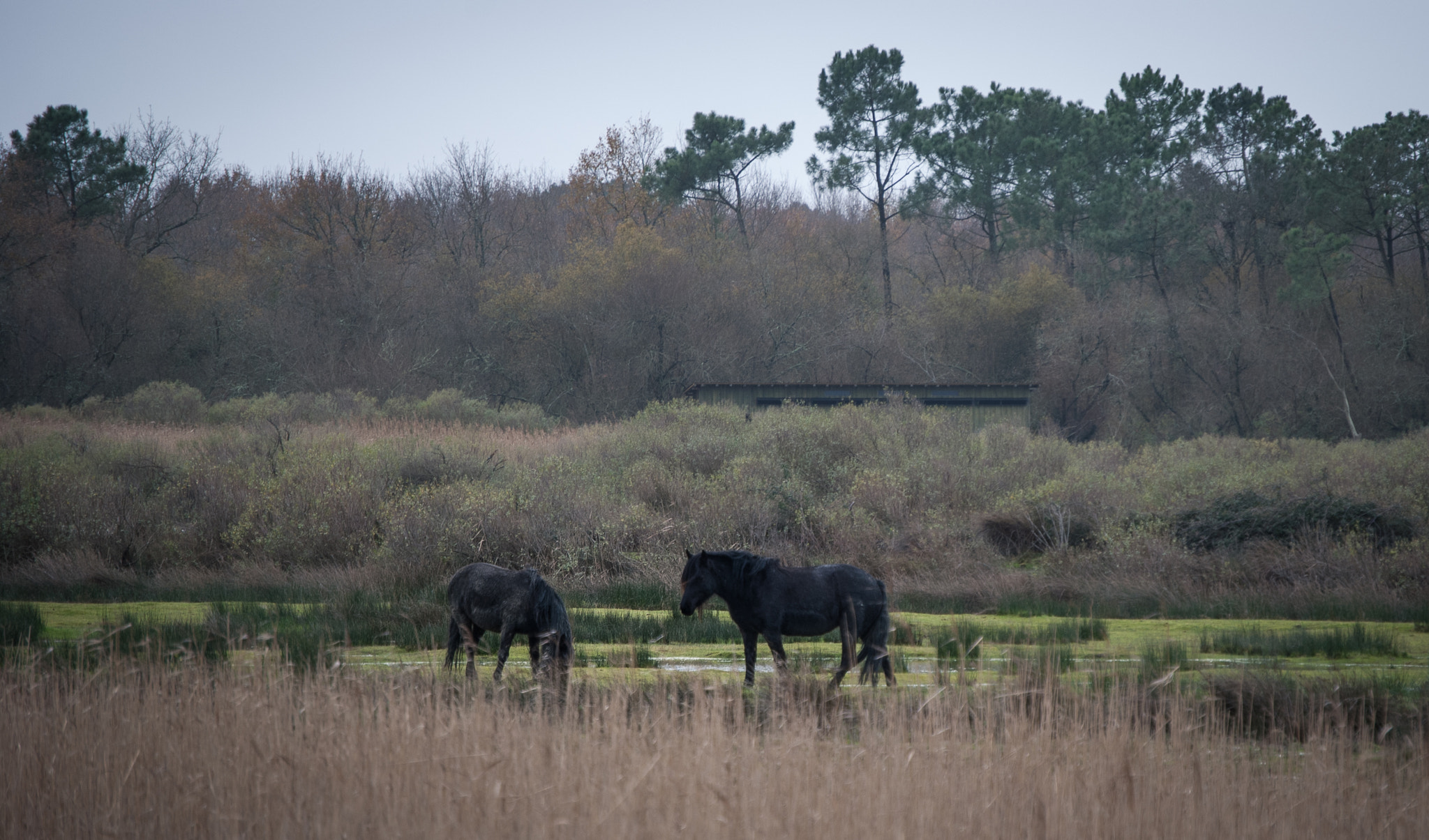 Nikon D60 sample photo. Aquitaine photography