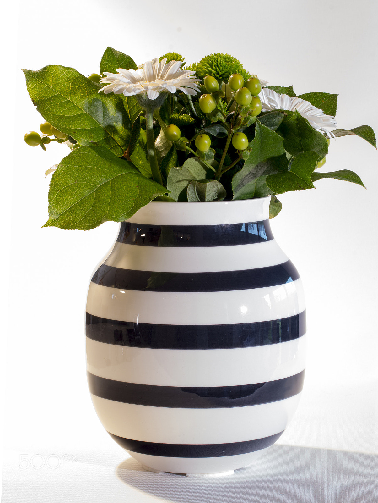 Canon EF-S 60mm F2.8 Macro USM sample photo. White flowers photography