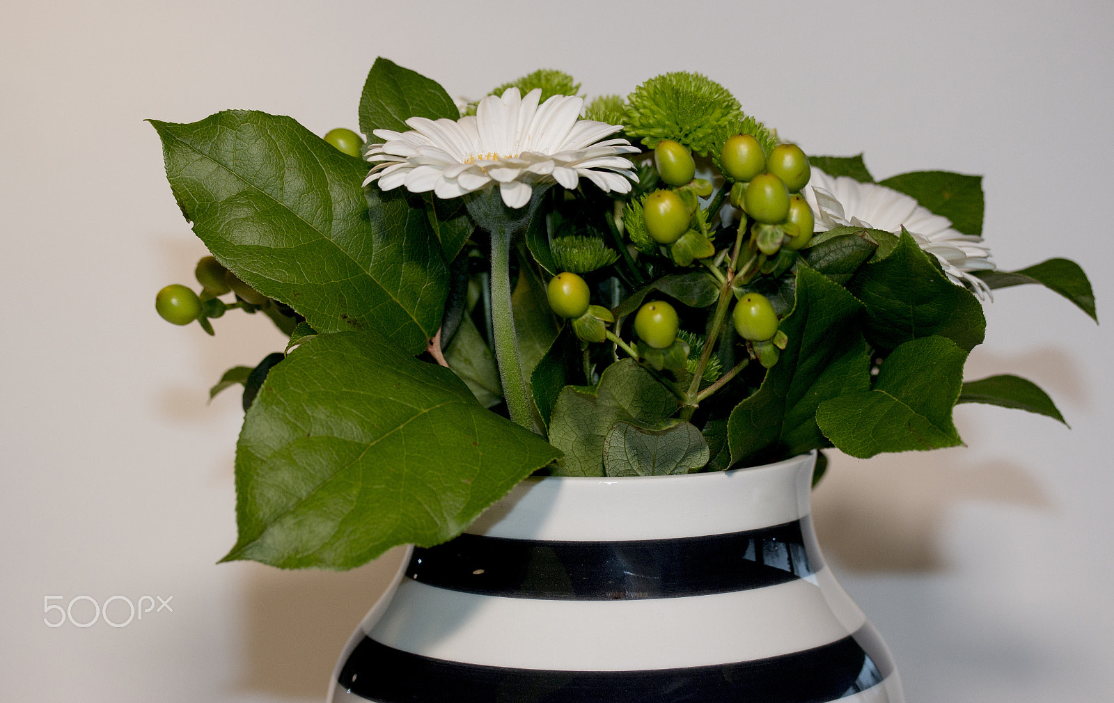 Canon EF-S 60mm F2.8 Macro USM sample photo. White flowers photography