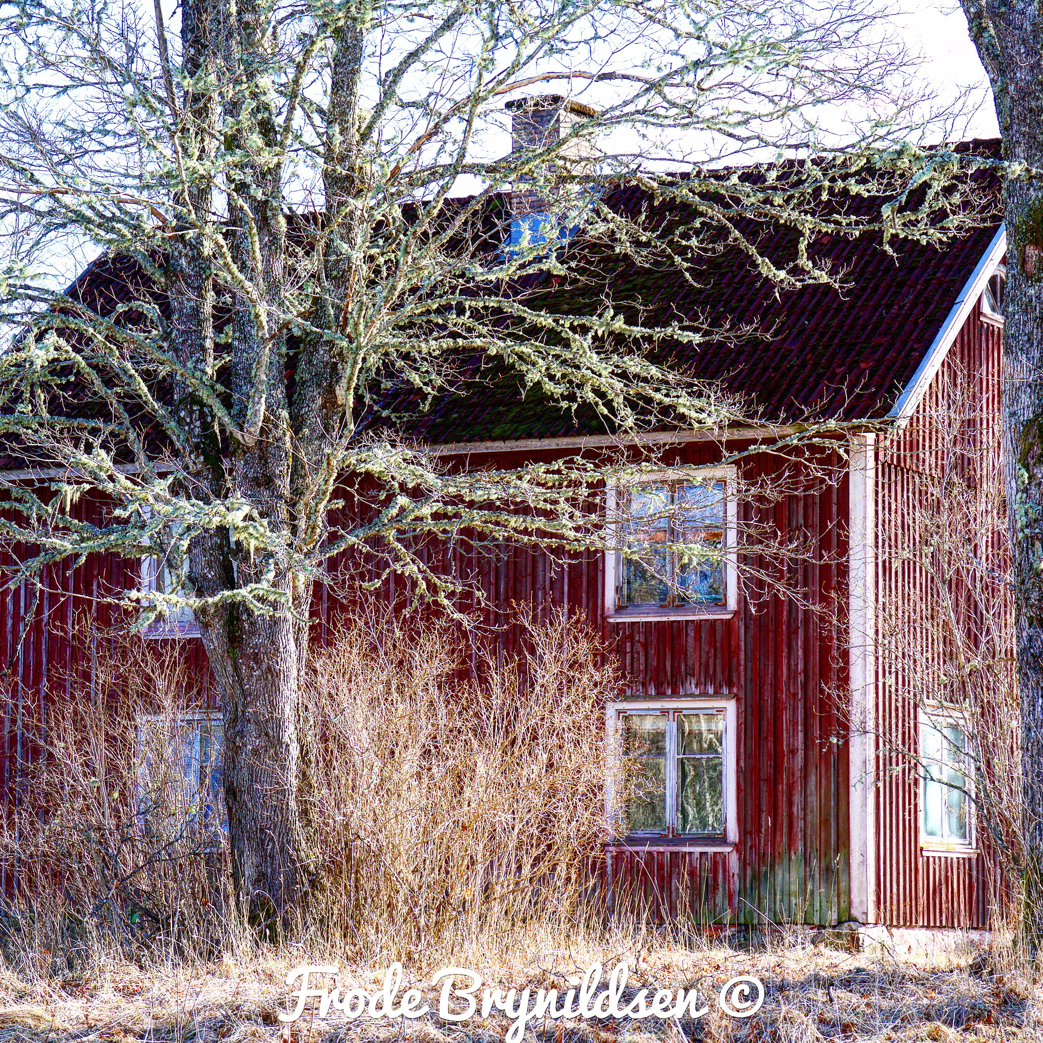 Sigma 17-70mm F2.8-4 DC Macro OS HSM sample photo. Abandon farm in the woods in sweden photography