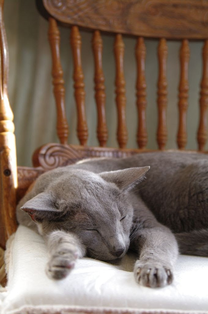 Pentax K-7 sample photo. Dream photography