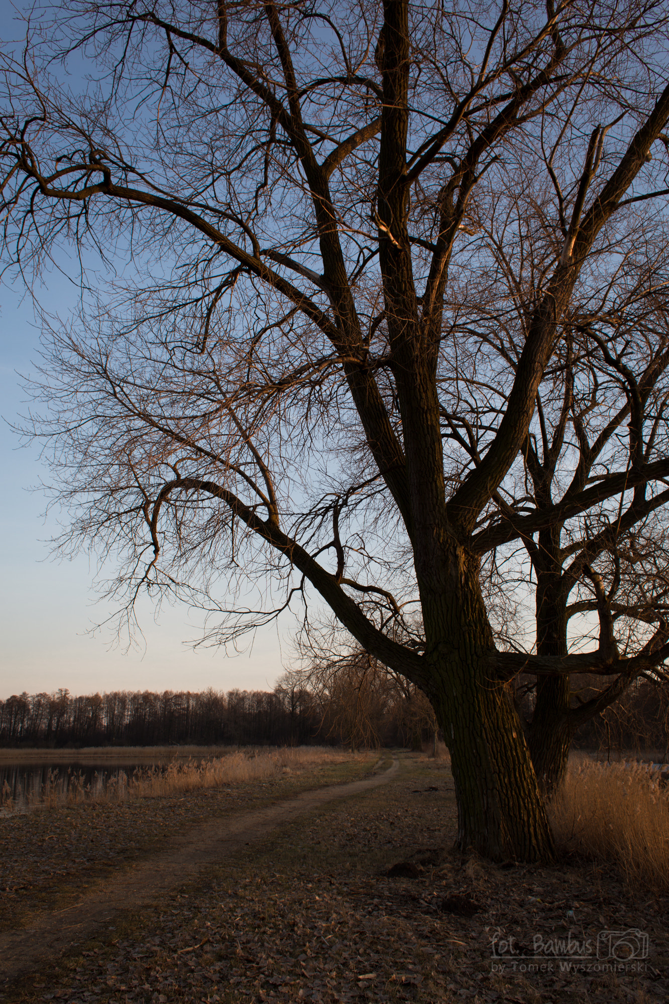 Canon EOS 6D + Canon EF 28mm F1.8 USM sample photo. Before spring photography