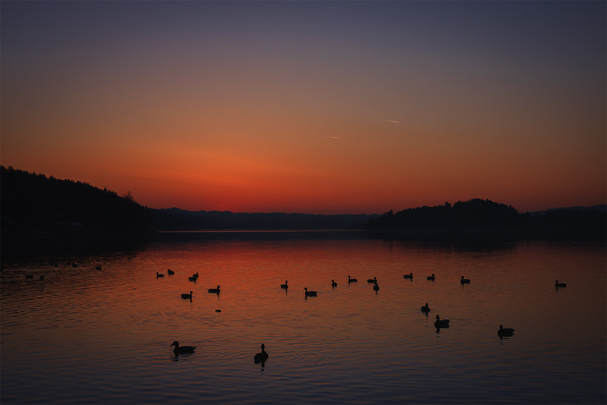 Sigma 18-200mm f/3.5-6.3 DC OS sample photo. Good night, donald photography