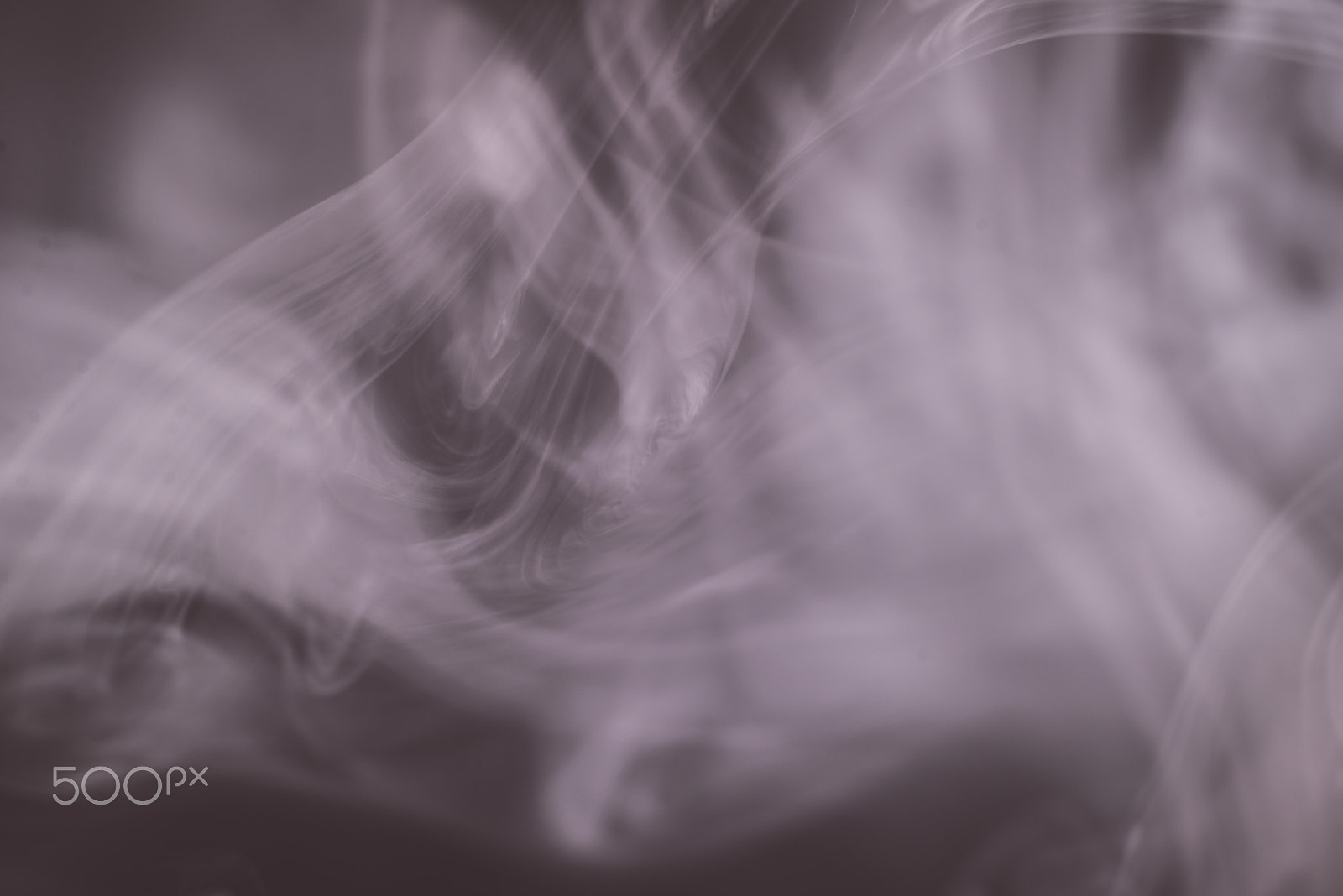 Nikon D610 + Sigma 50mm F2.8 EX DG Macro sample photo. Smoke layer on black studio background photography