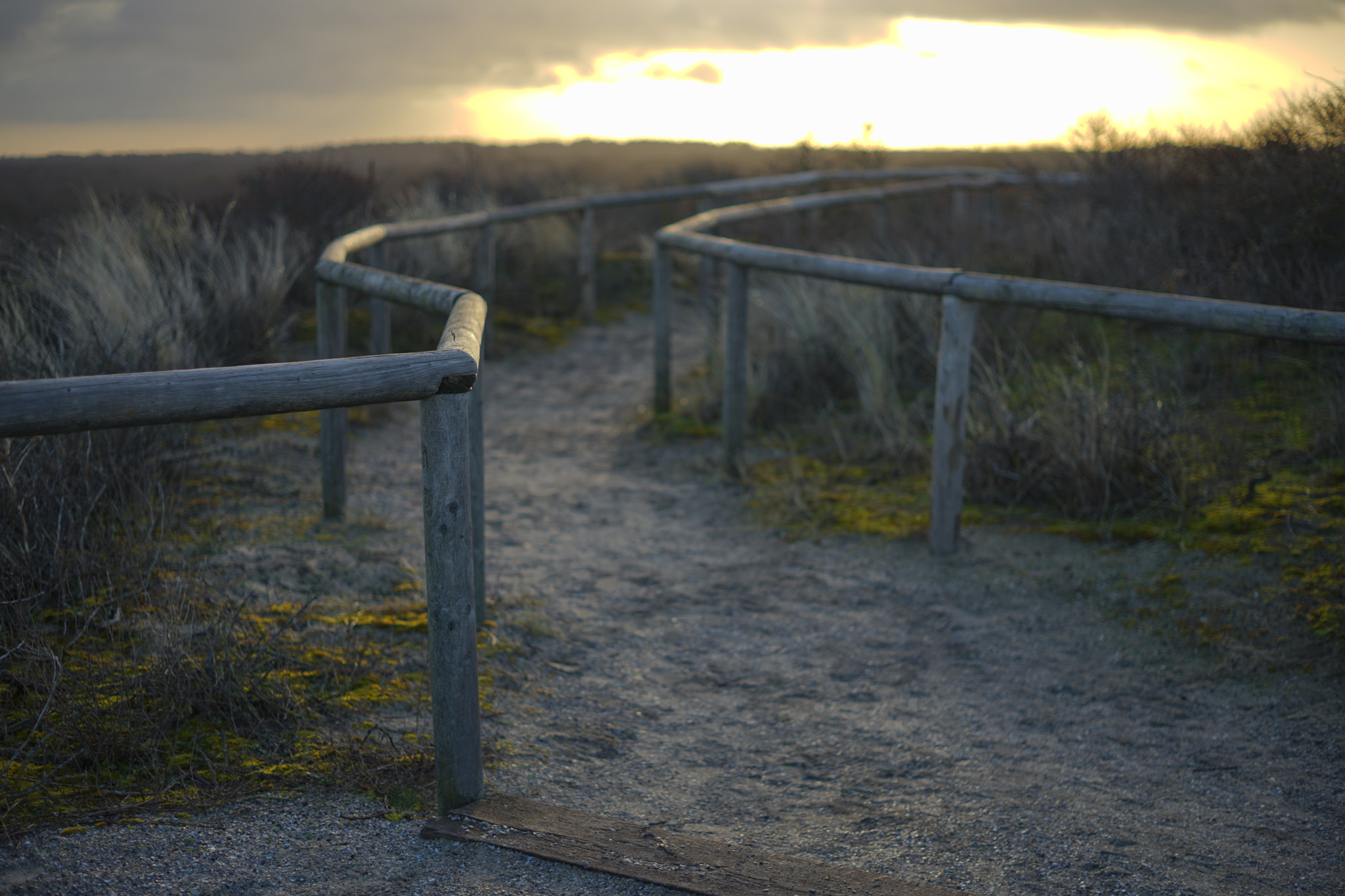 Sony a7 II + ZEISS Loxia 50mm F2 sample photo. Photo_78 photography