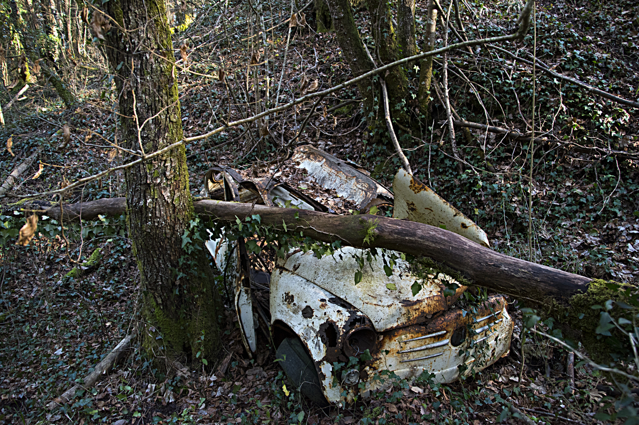 Nikon D5500 sample photo. Decay photography