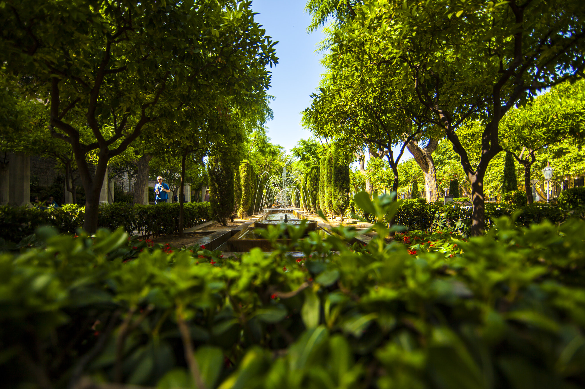 Canon EF 14mm F2.8L II USM sample photo. Ms europa 2 - mallorca photography