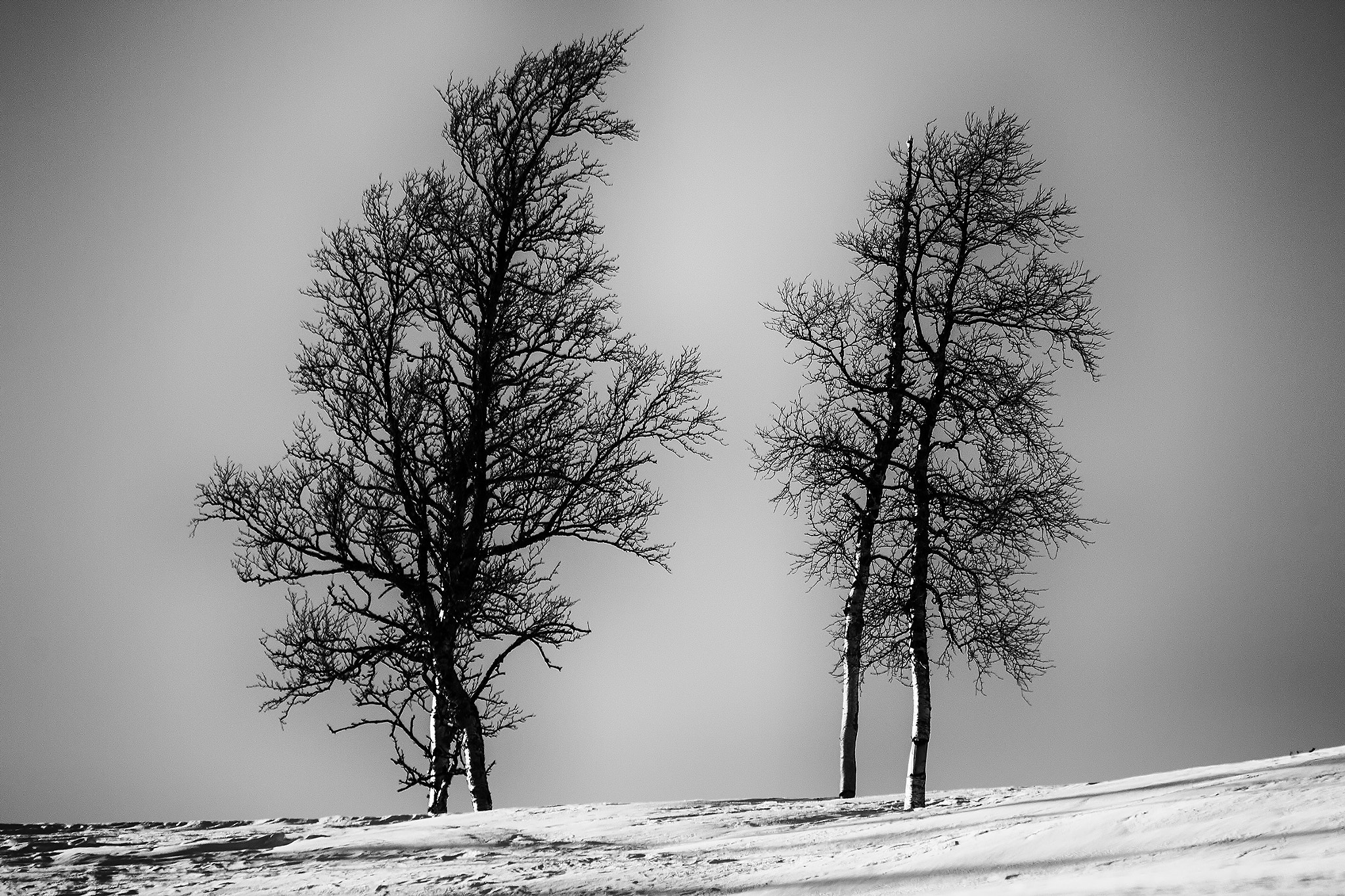 Sigma 150-500mm F5-6.3 DG OS HSM sample photo. Norwegian nature photography