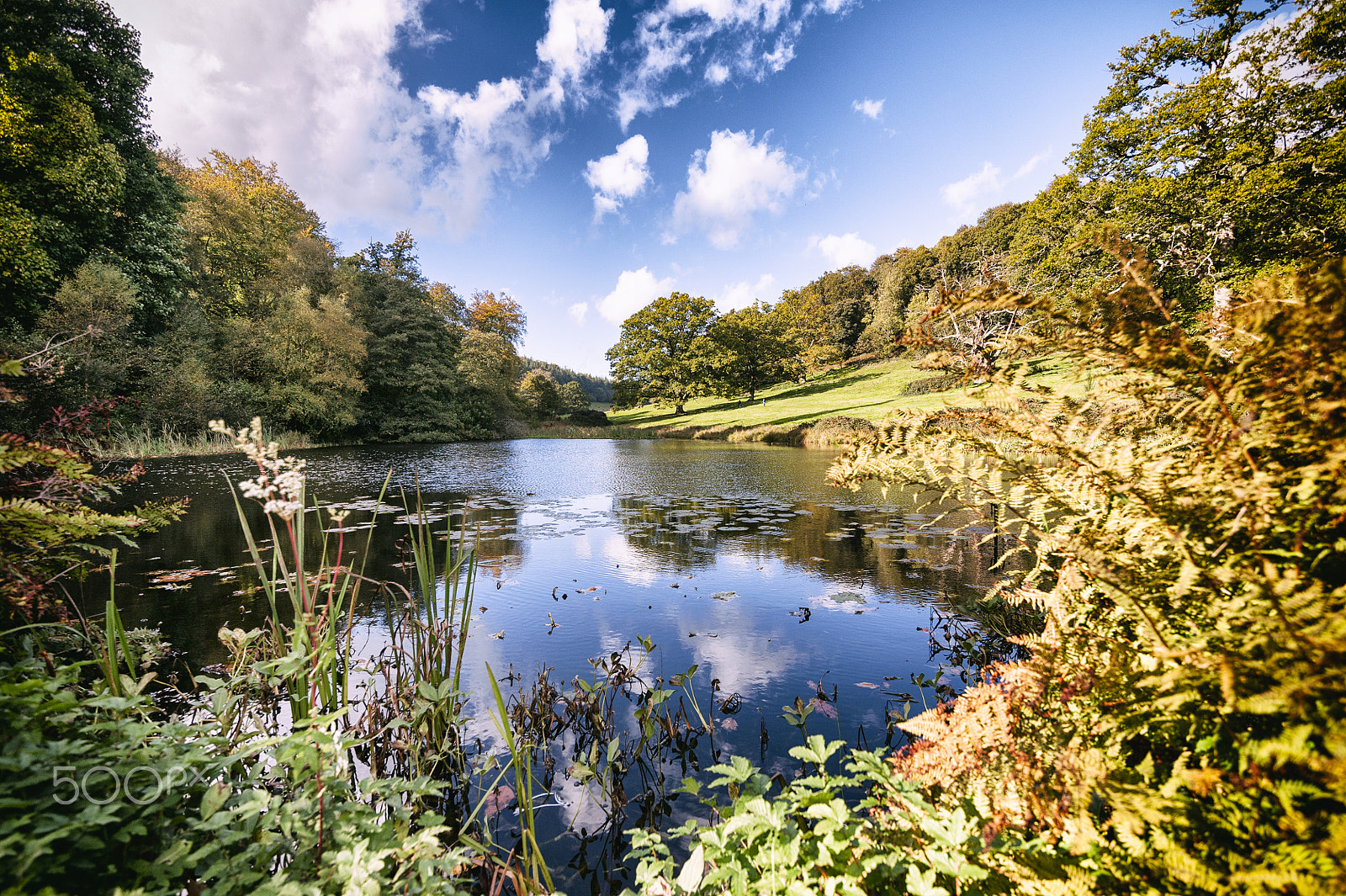 Nikon D700 sample photo. Stourhead lake photography