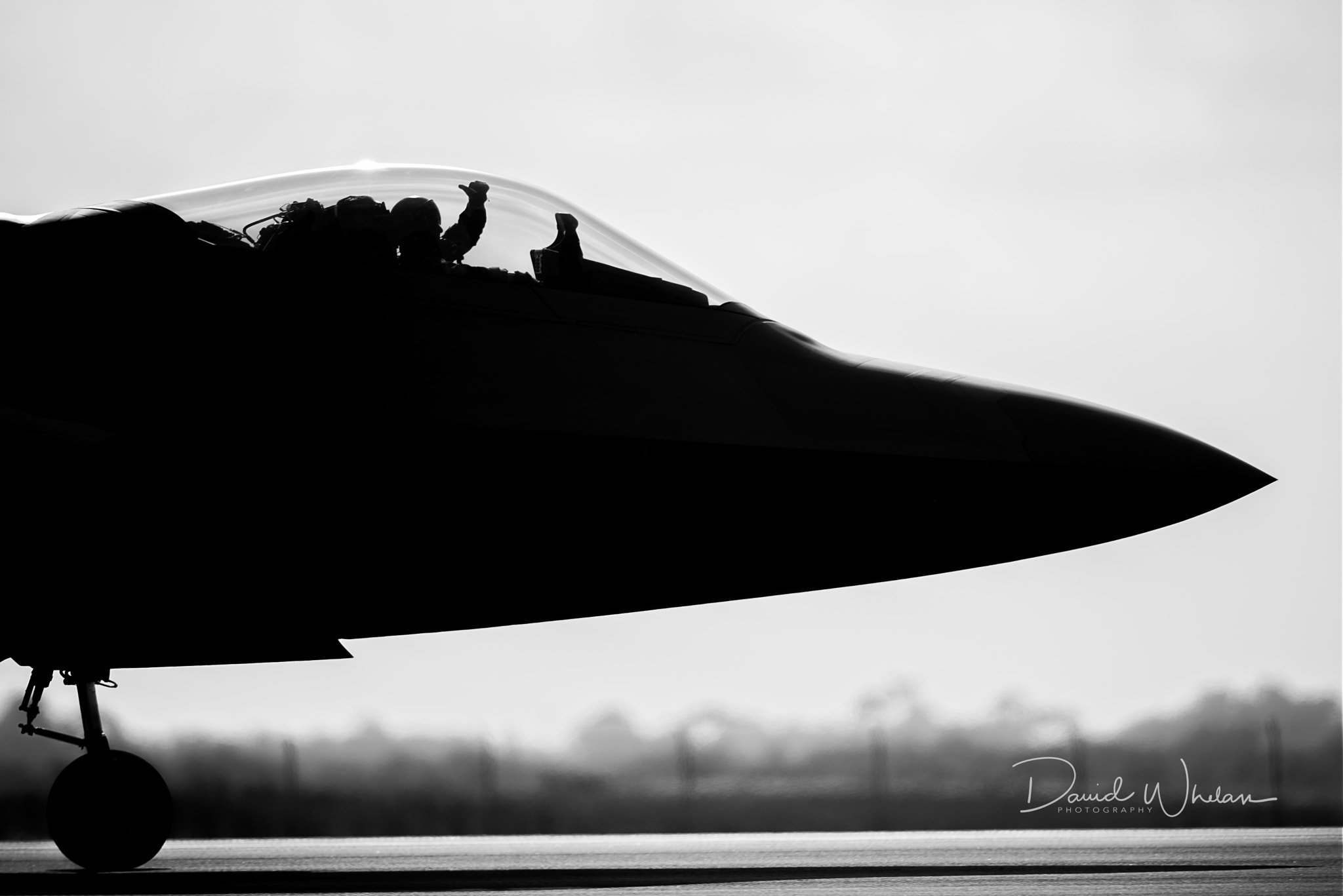 Nikon D810 + Nikon AF-S Nikkor 400mm F2.8E FL ED VR sample photo. Usaf f-22 raptor photography