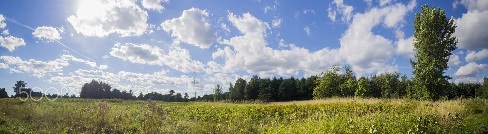 Olympus PEN E-PL5 sample photo. Landscape in nature photography