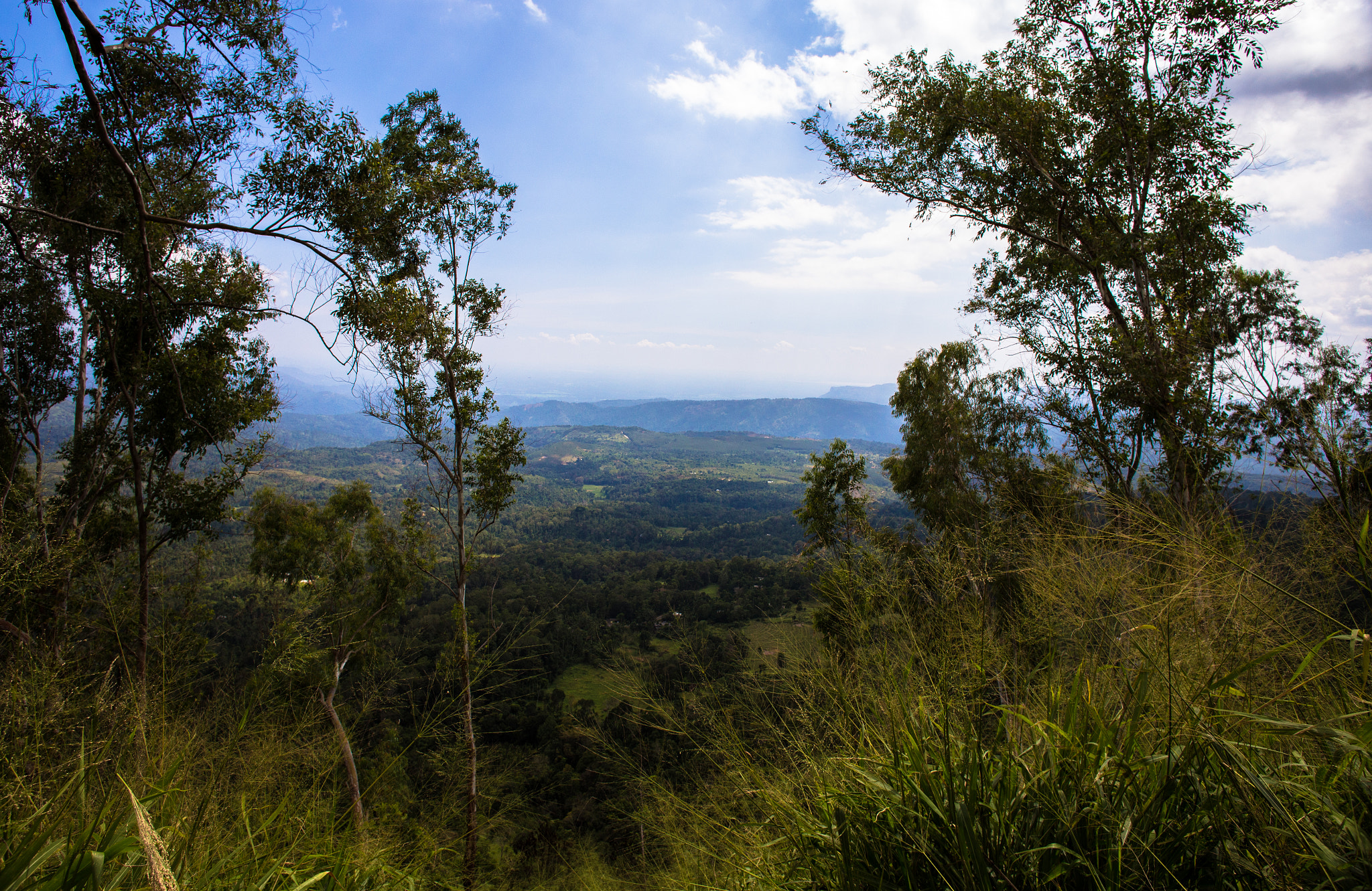 Canon EF 20mm F2.8 USM sample photo. Nature photos form yala and from sri-lanka photography