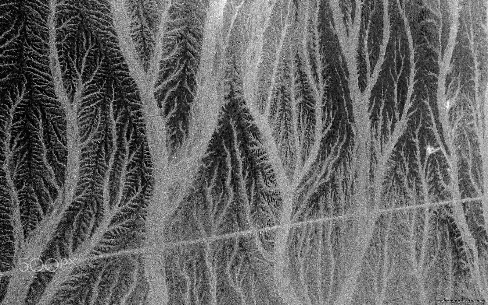 Nikon AF-S Nikkor 70-200mm F2.8G ED VR II sample photo. Earth's nerves photography