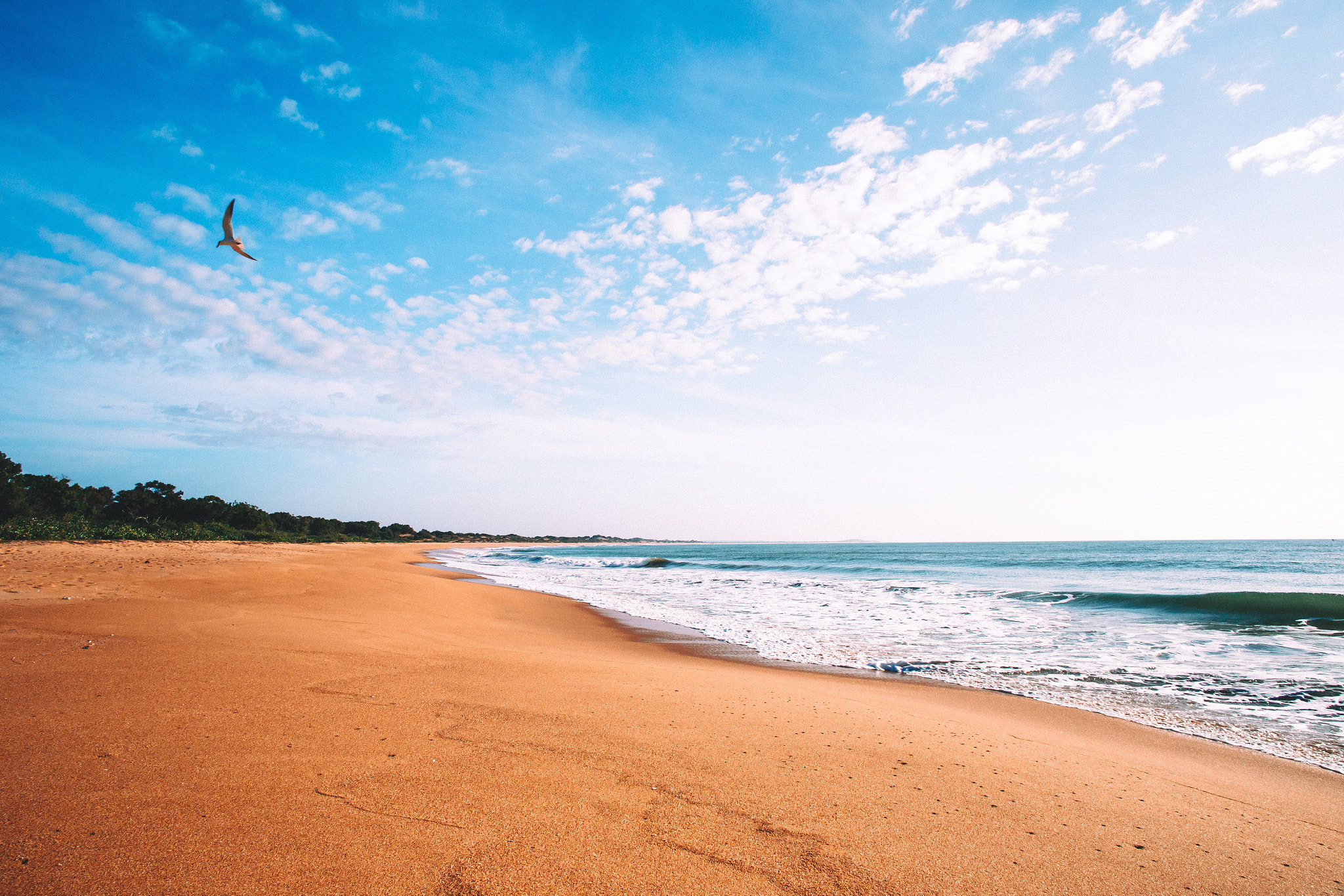 Canon EF 20mm F2.8 USM sample photo. Nature photos form yala and from sri-lanka photography