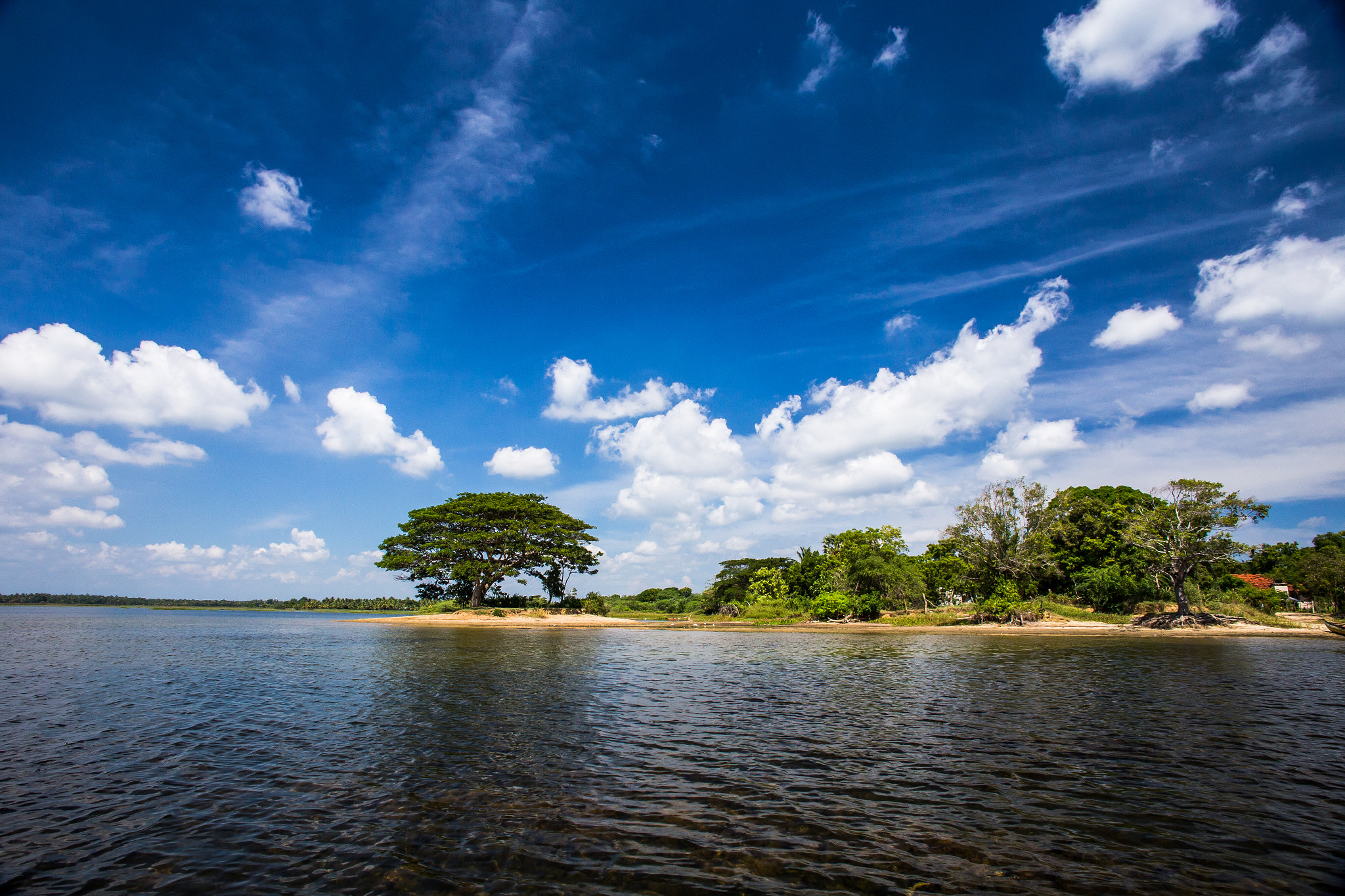 Canon EOS 6D + Canon EF 20mm F2.8 USM sample photo. Nature photos form yala and from sri-lanka photography