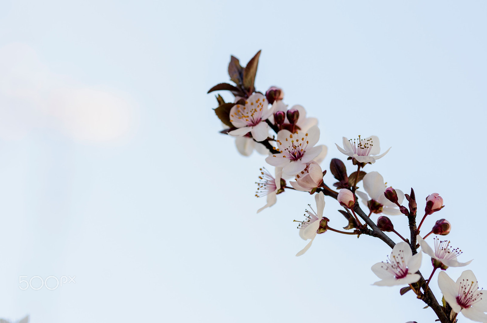 Sigma 105mm F2.8 EX DG OS HSM sample photo. Planet earth photography