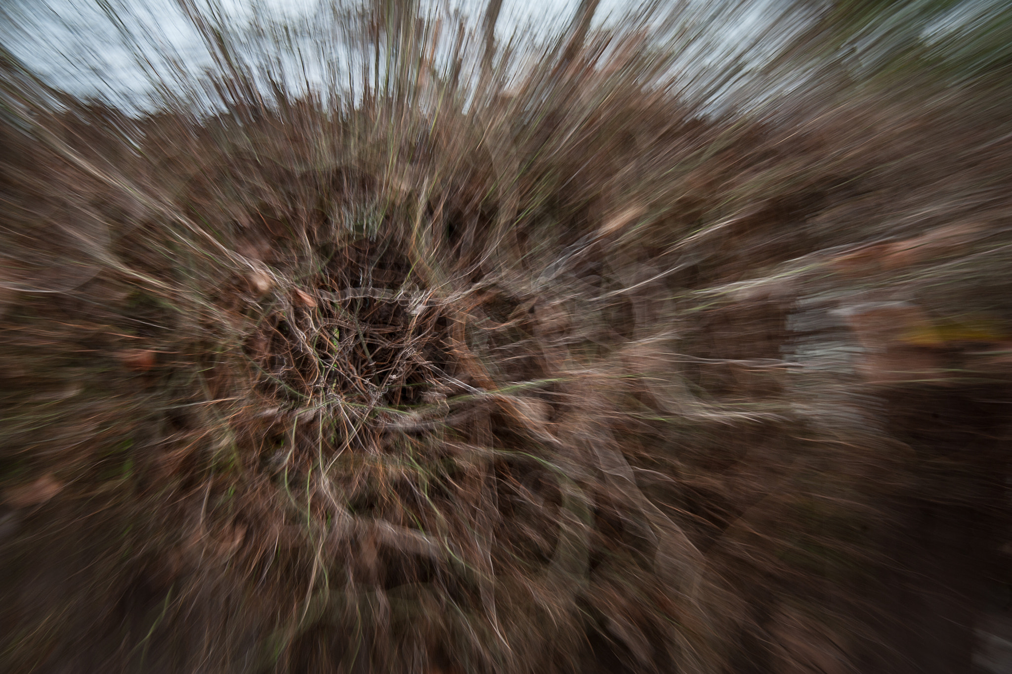 Nikon AF-S Nikkor 24-70mm F2.8E ED VR sample photo. Figuration photography
