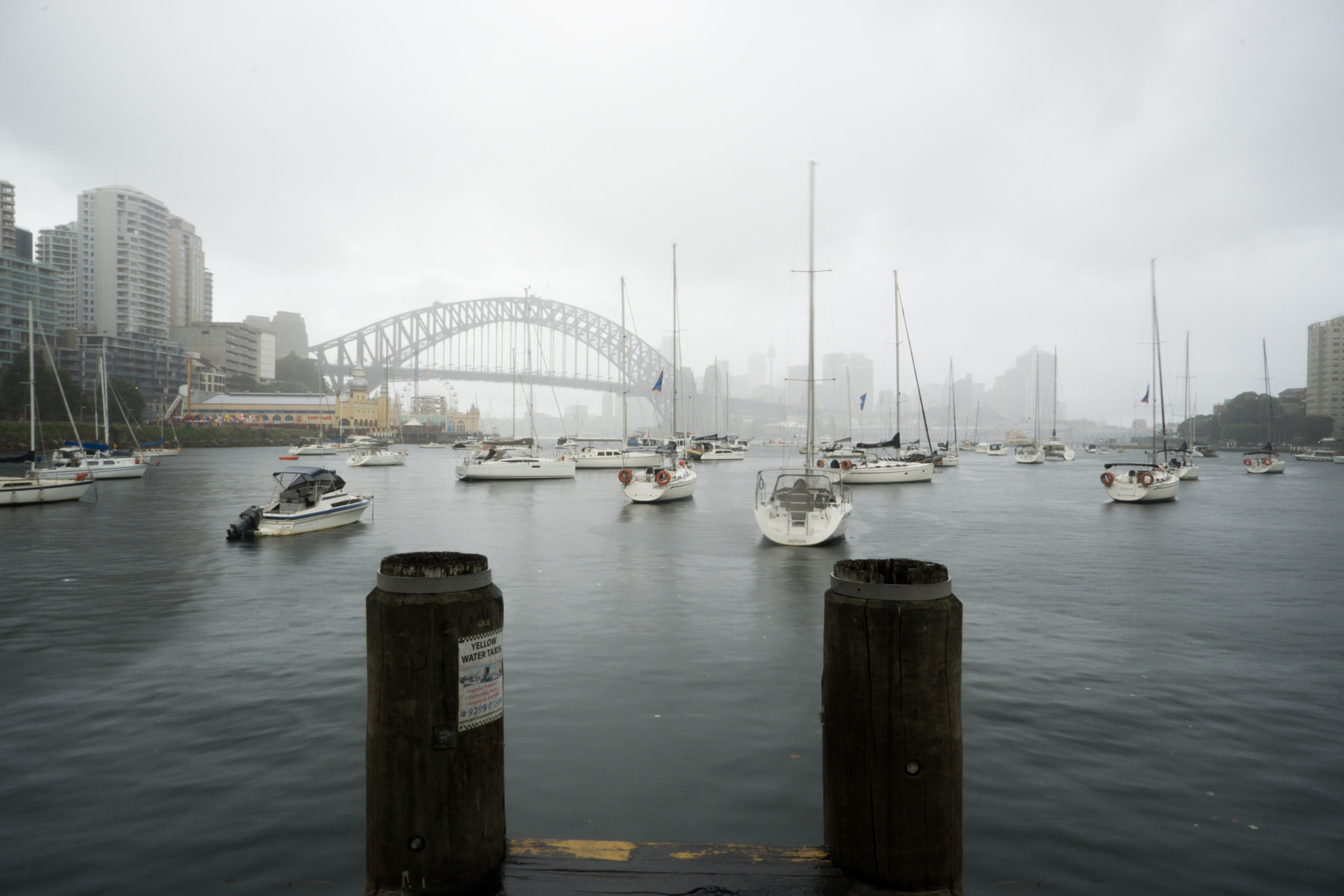 Sony a6000 + Sony E 16mm F2.8 sample photo. Sydney harbour from lavender bay walk photography