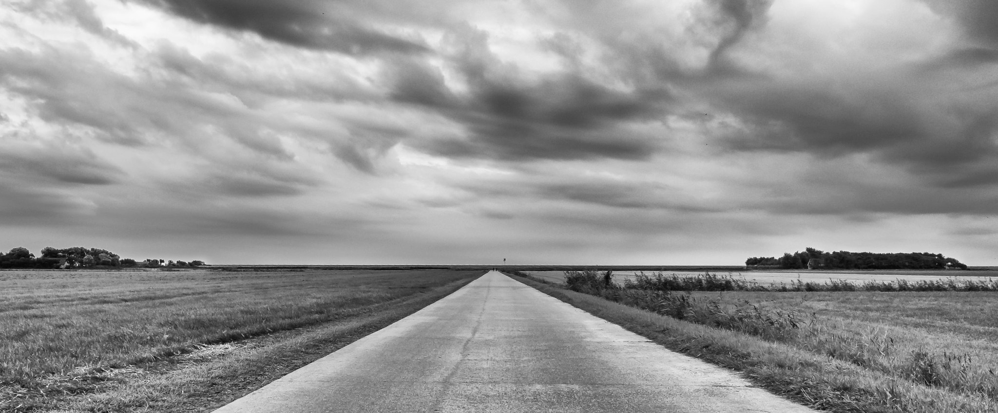 Fujifilm X-E1 + Fujifilm XF 14mm F2.8 R sample photo. Road on schiermonnikoog photography