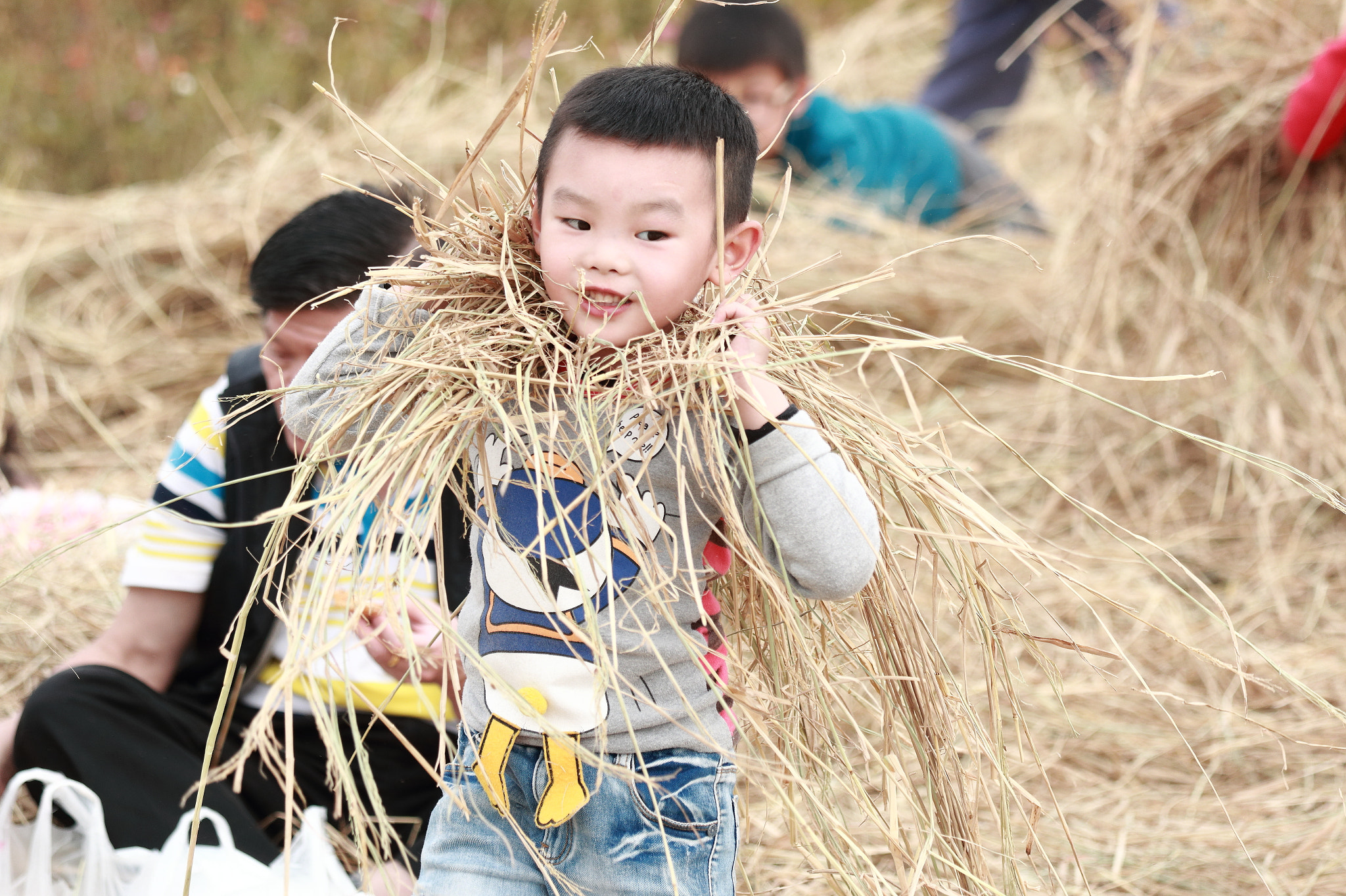 Canon EOS 70D + Canon EF 70-200mm F4L IS USM sample photo. Img_0932m play in wheat field. 麥田嬉遊. photography