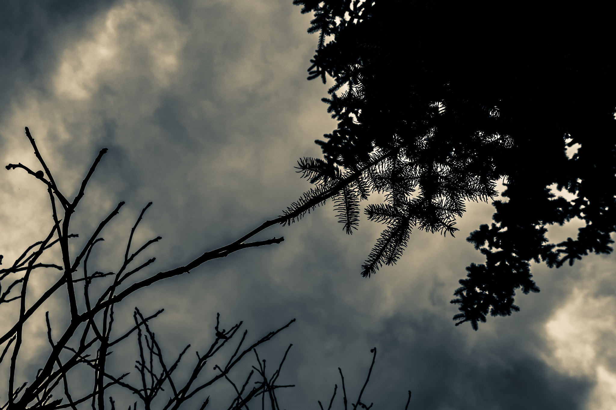 Nikon D7200 + Sigma 18-35mm F1.8 DC HSM Art sample photo. Reach each other photography