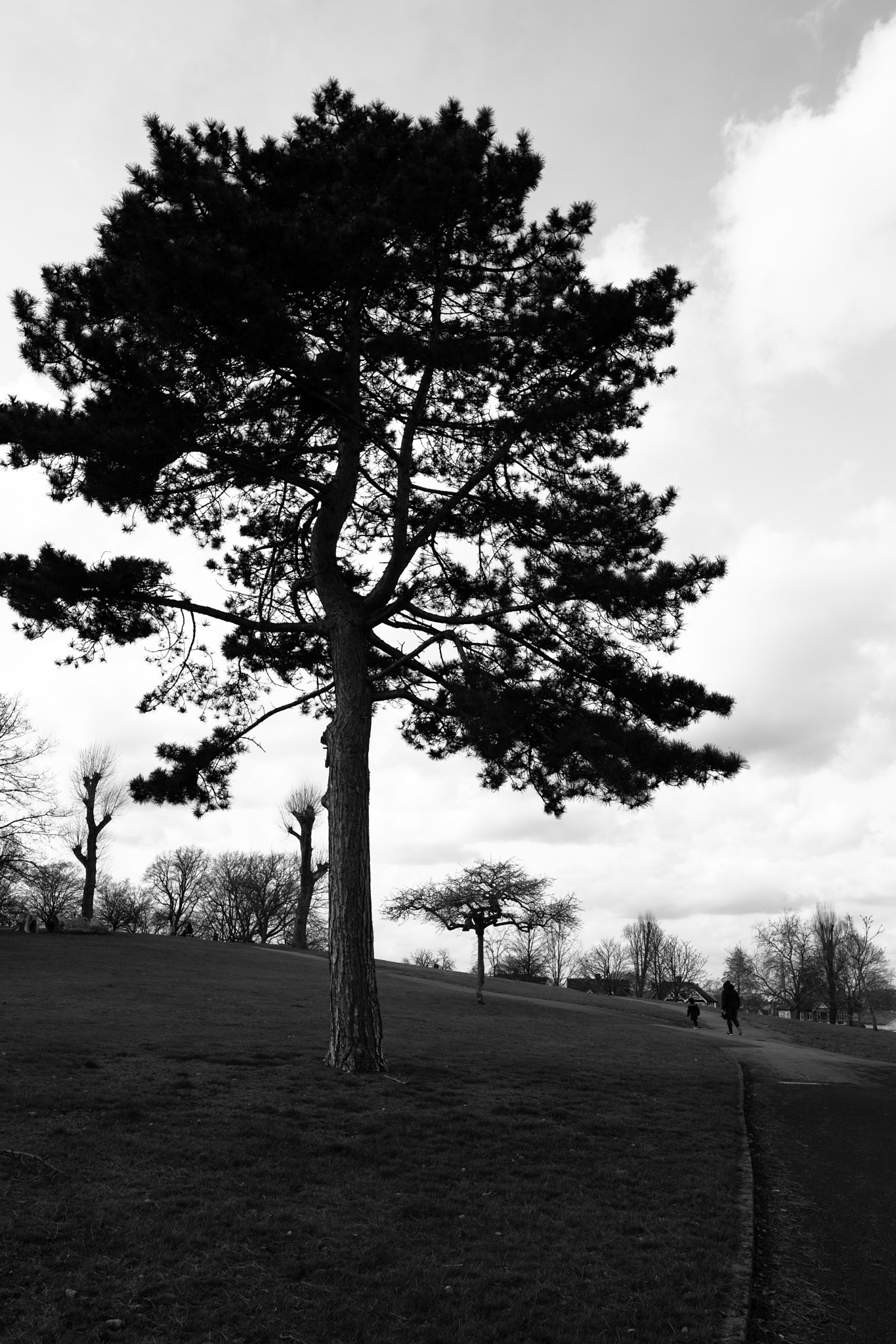 Sigma 24mm F1.4 DG HSM Art sample photo. Spring bw (of ) photography
