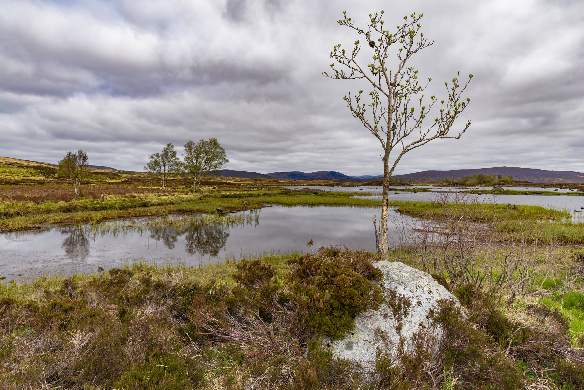Sony a7R sample photo. Rannoch moor, scotland photography